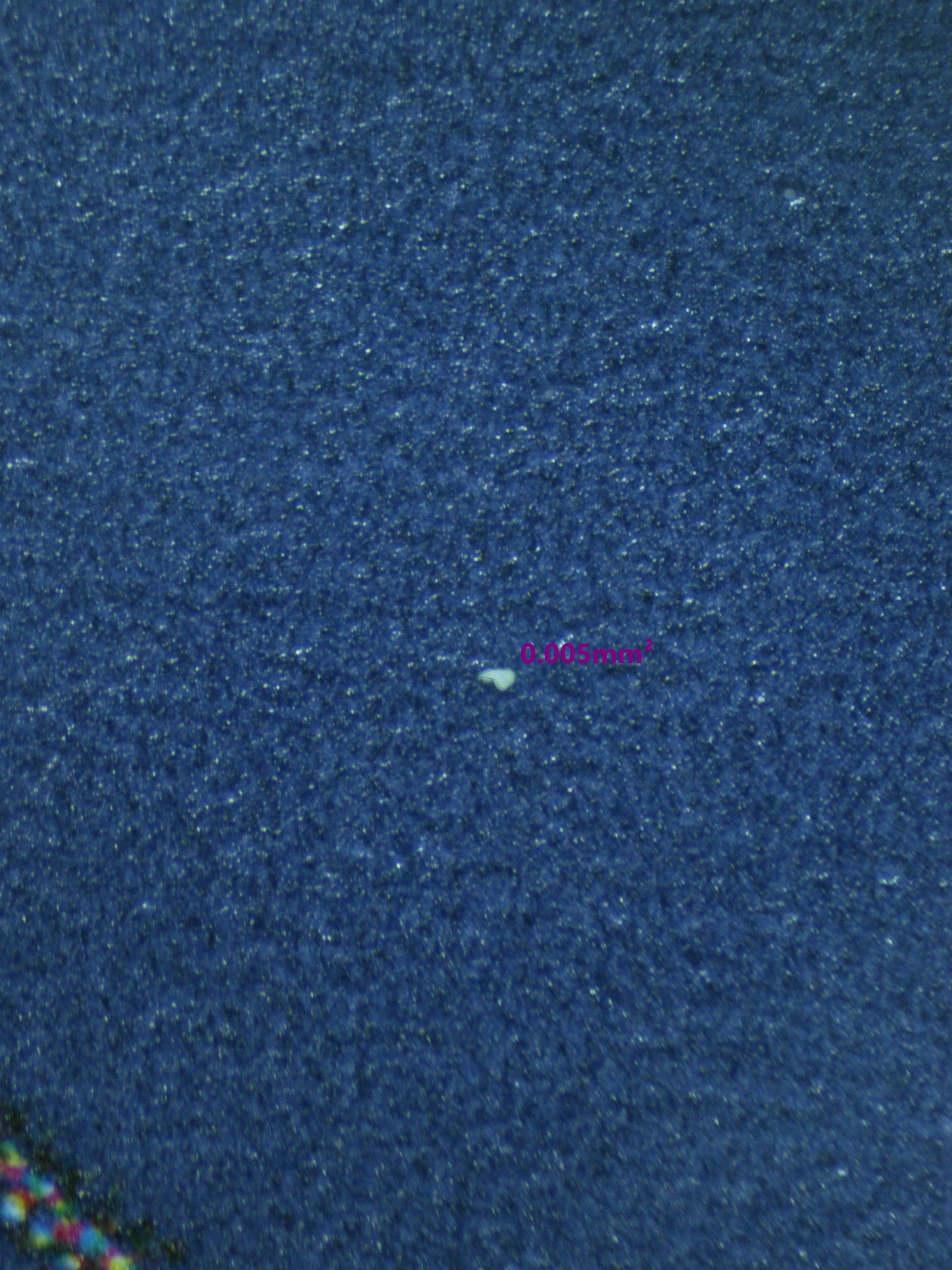 00659 DONQUIXOTE ROSINANTE Grading Card