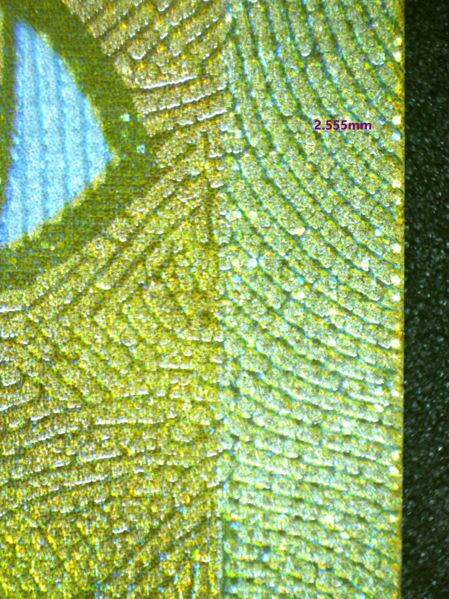 00931 ROARING MOON EX Grading Card