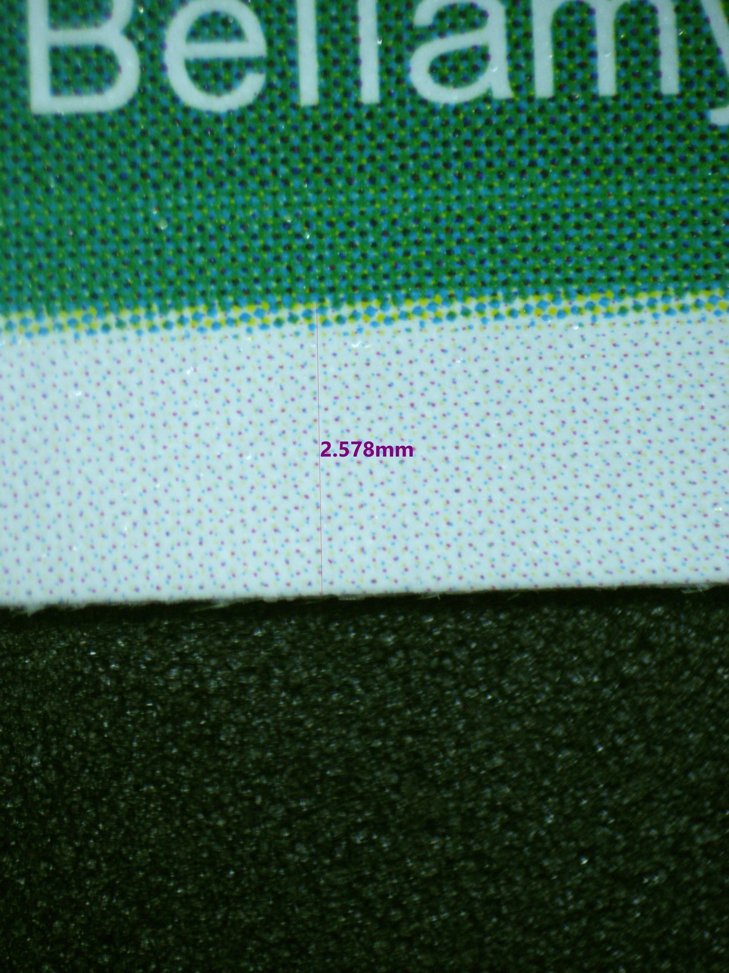 00697 SARQUISS Grading Card