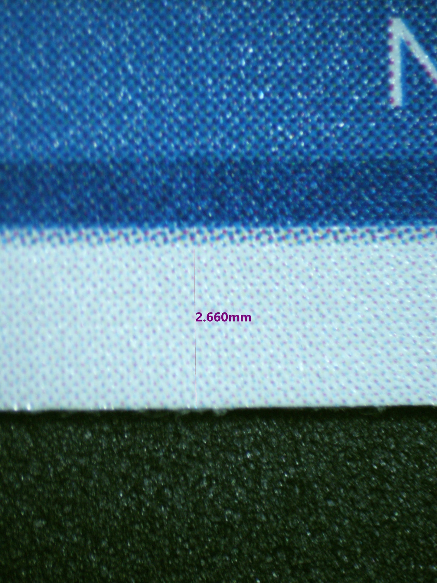 00725 HINA Grading Card