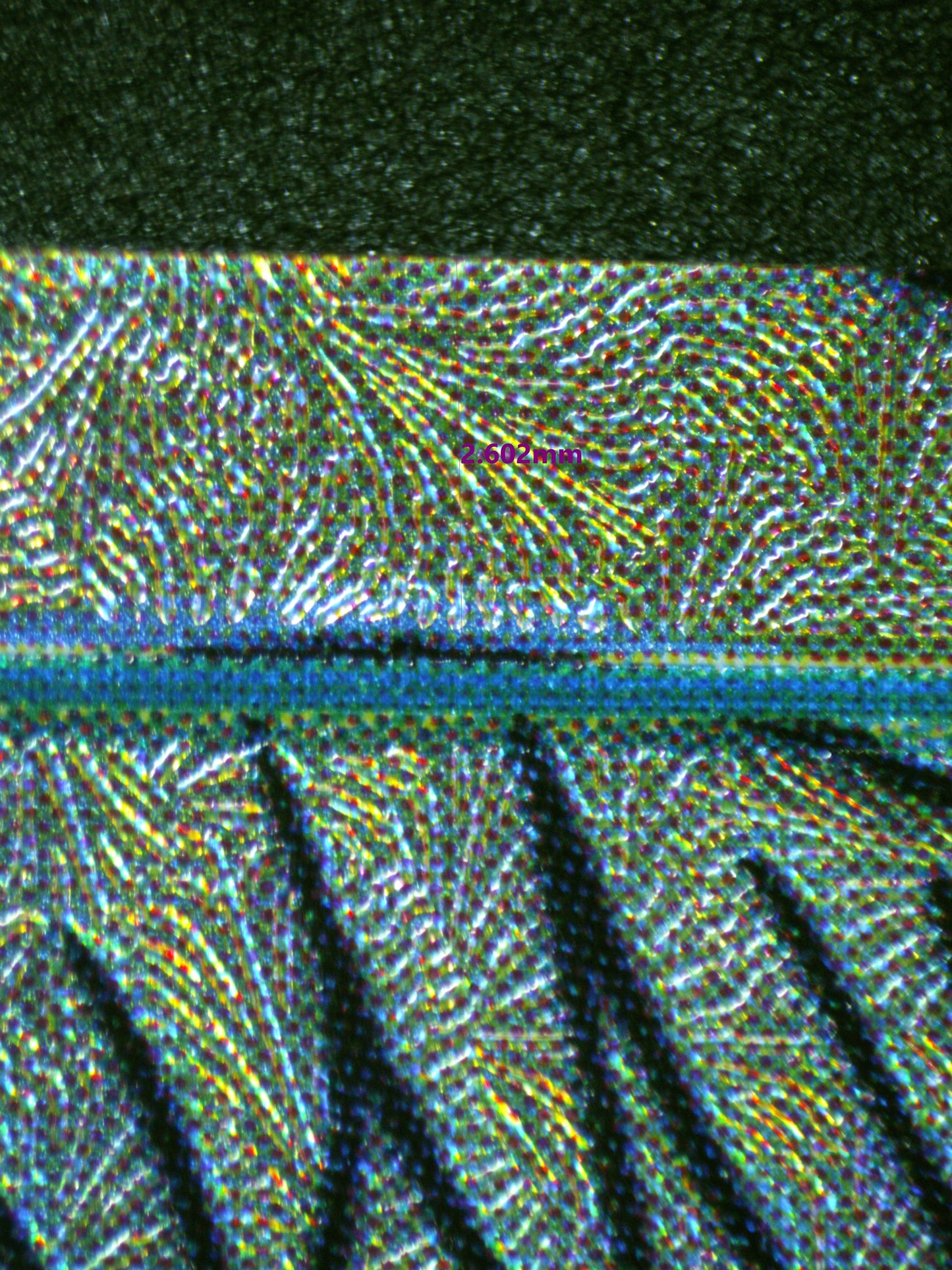 00995 NAMI Grading Card