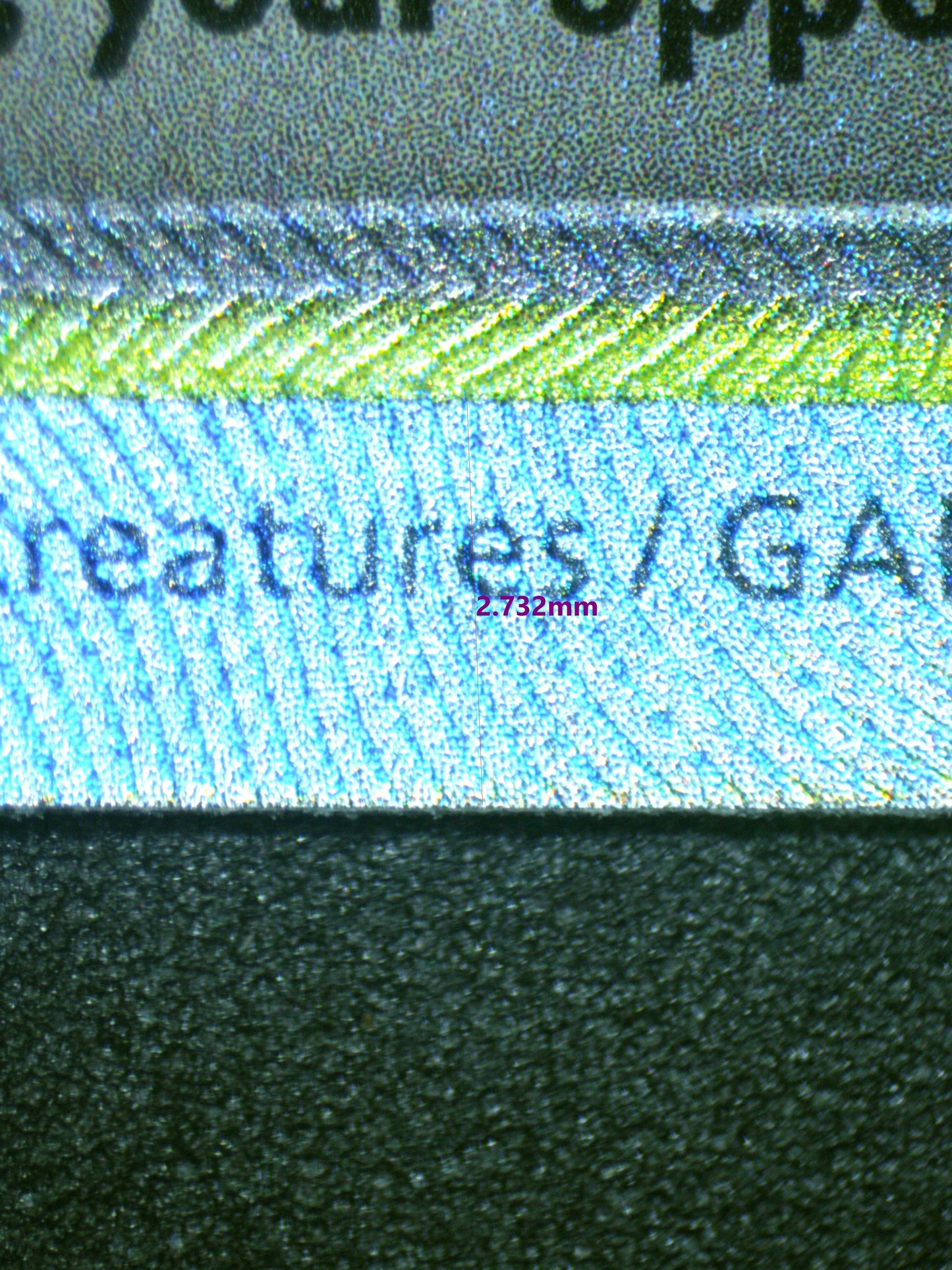 00981 VENUSAR EX Grading Card