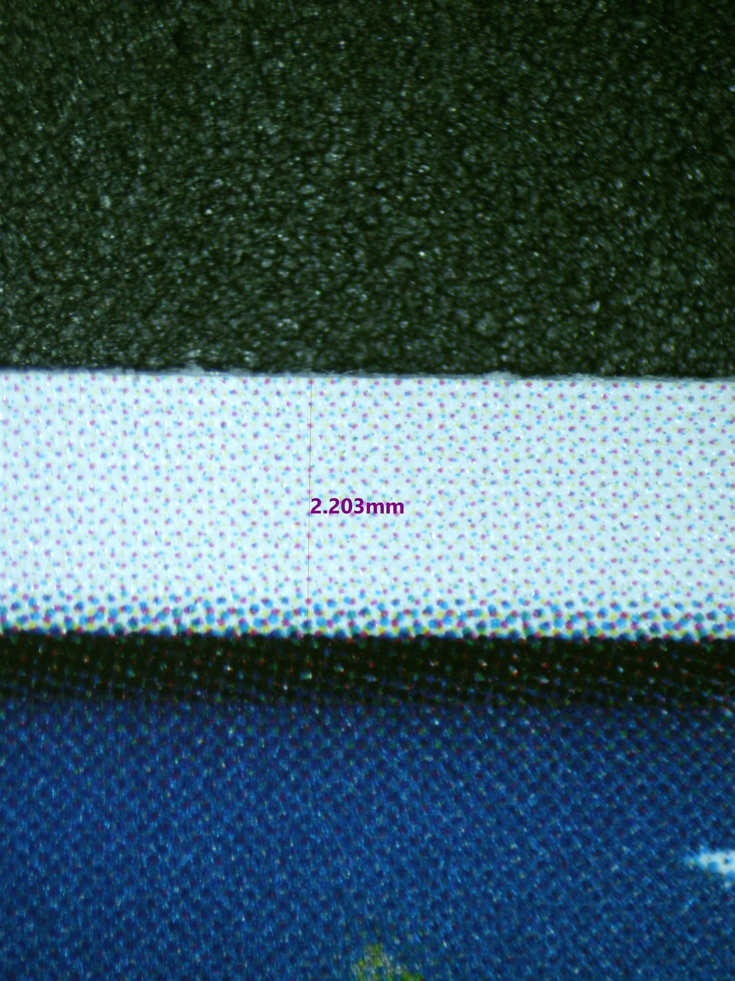 00765 SHIRAHOSHI Grading Card