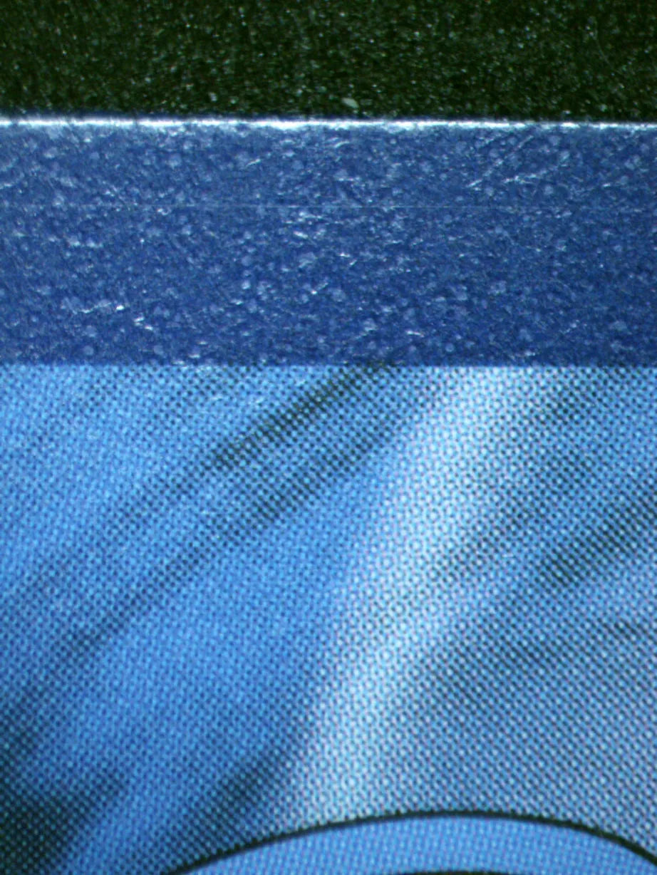 01008 CHARMANDER Grading Card