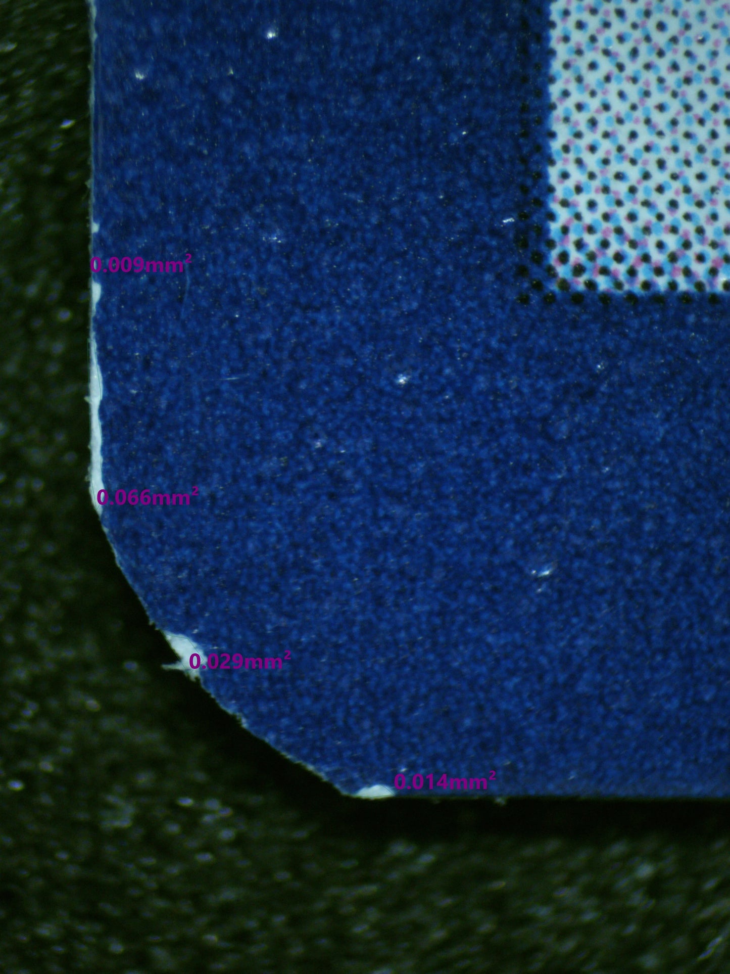 01009 CHARMELEON Grading Card