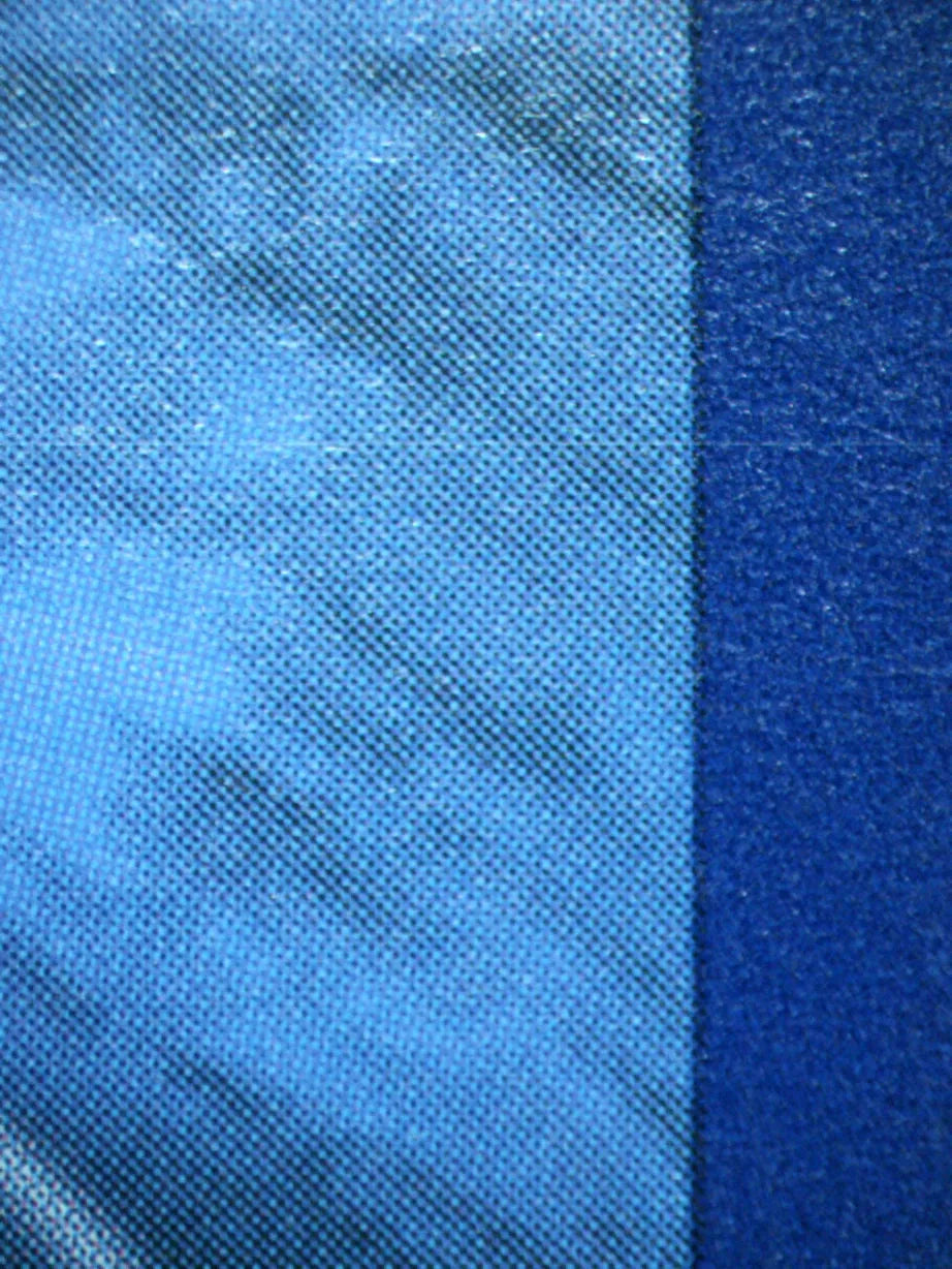 01012 PIKACHU V Grading Card