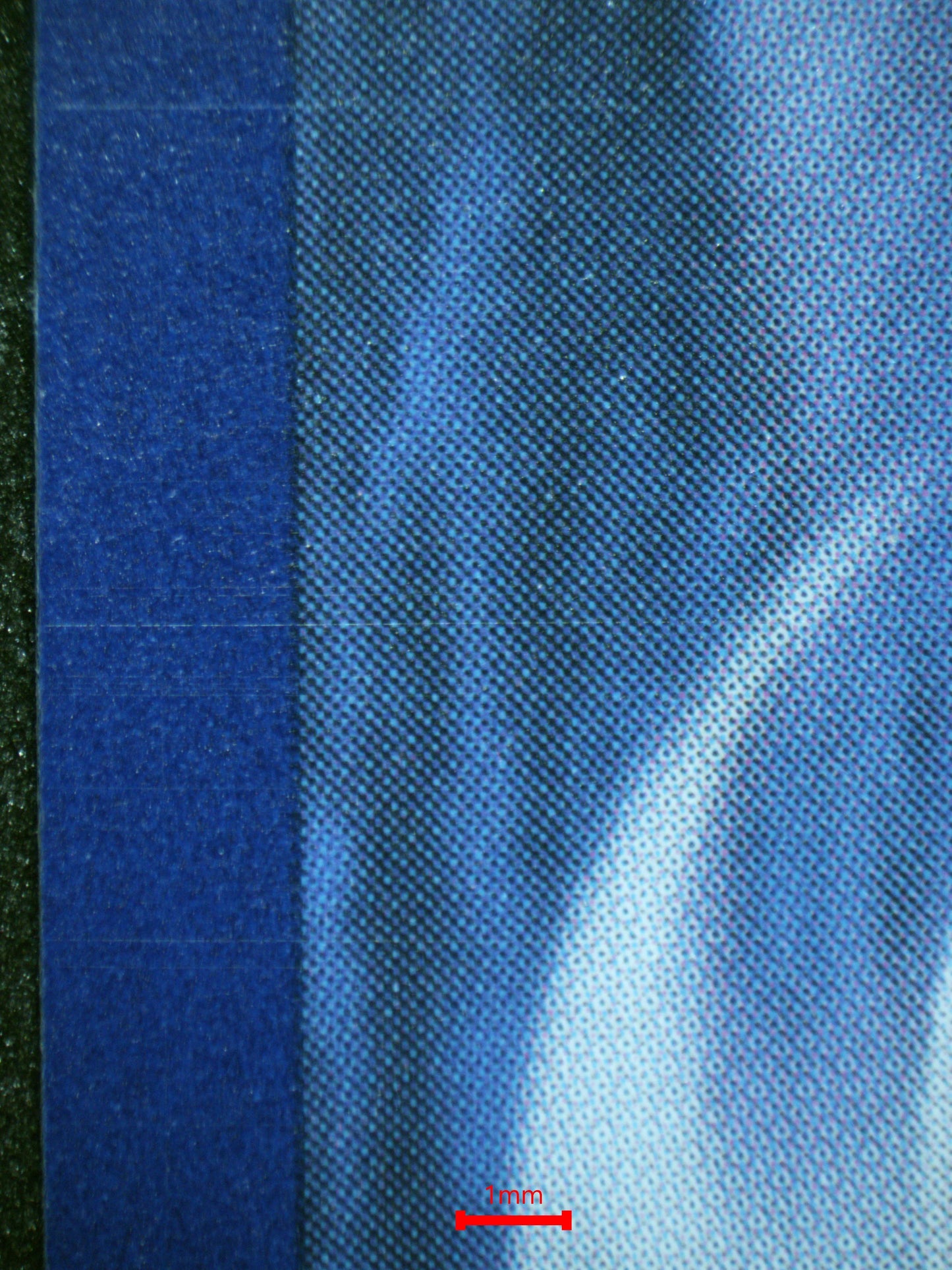 01092 DEERLLING Grading Card