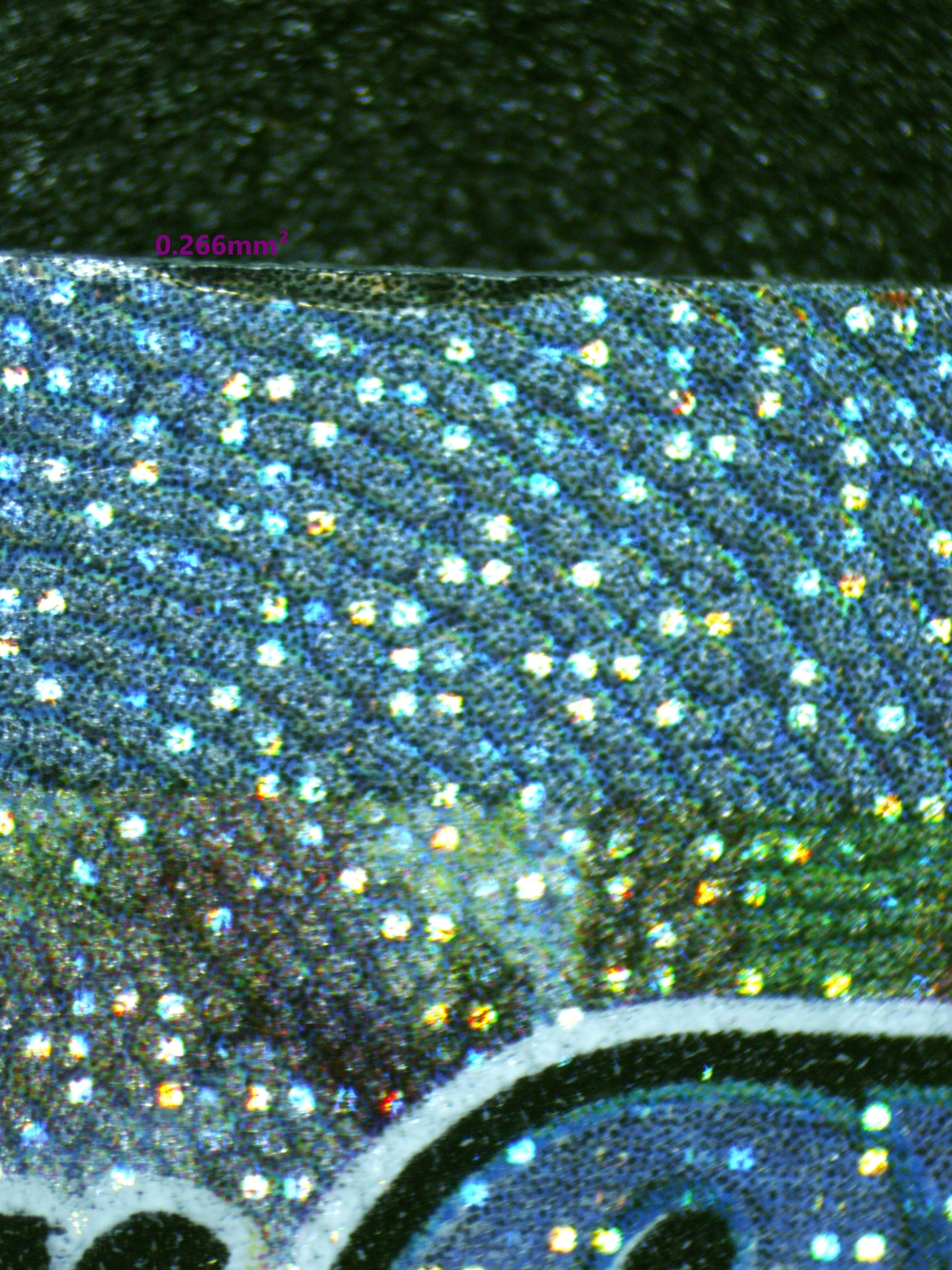 01031 GARDEVOIR EX Grading Card