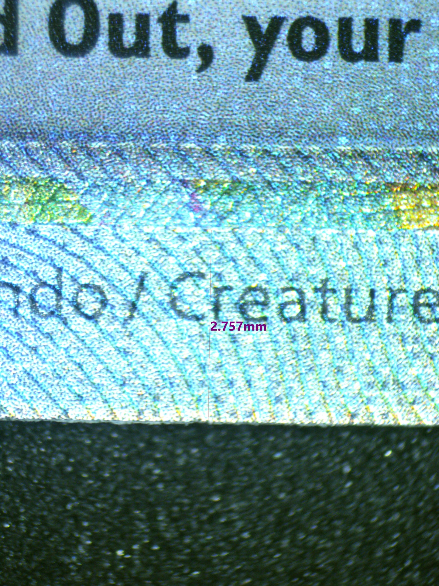 01131 VENUSAUR EX Grading Card