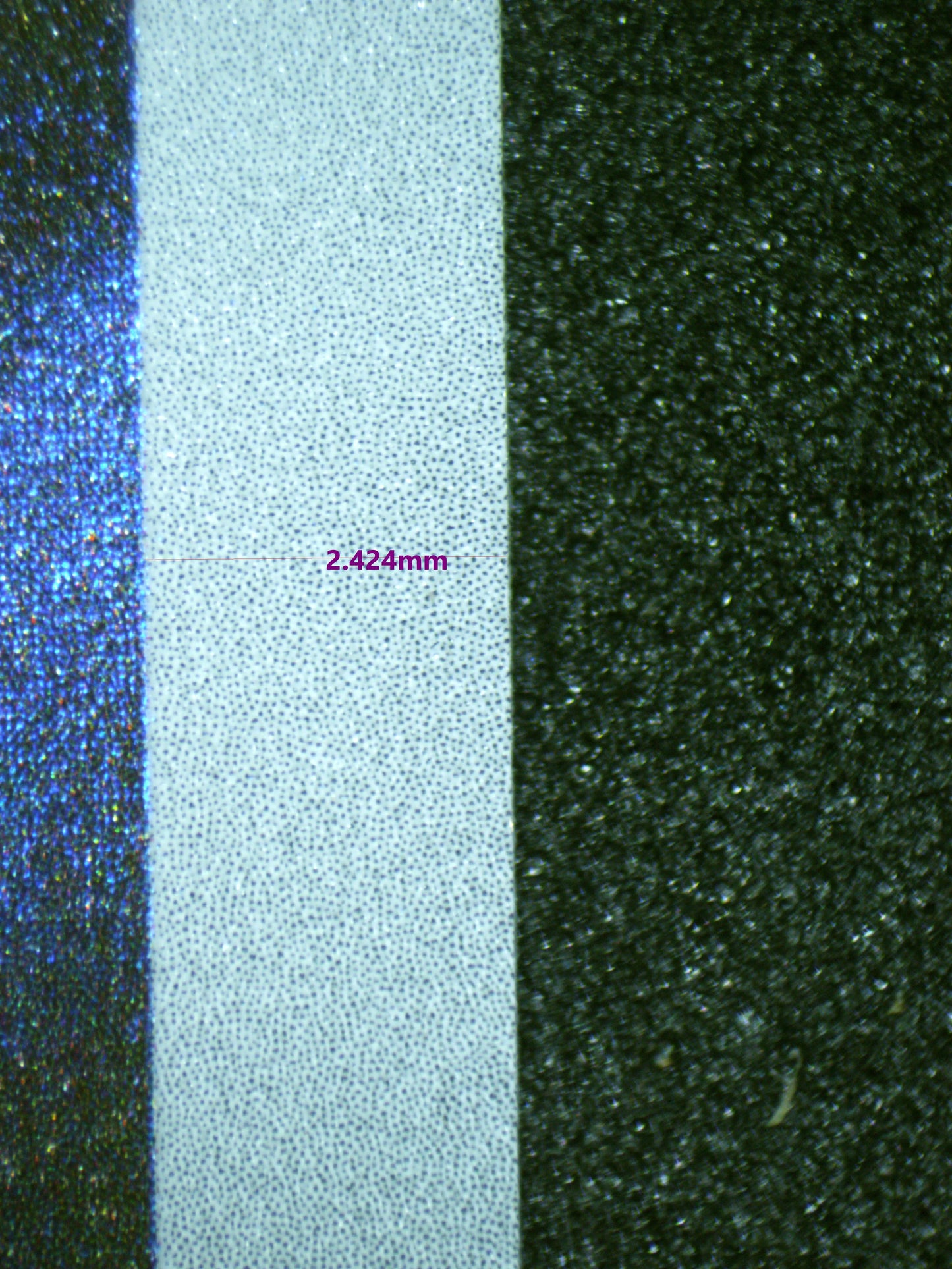 01136 CHARMELEON Grading Card