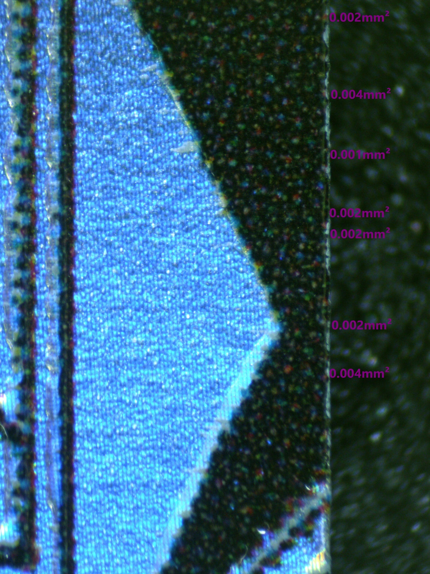 01165 RORONOA ZORO Grading Card