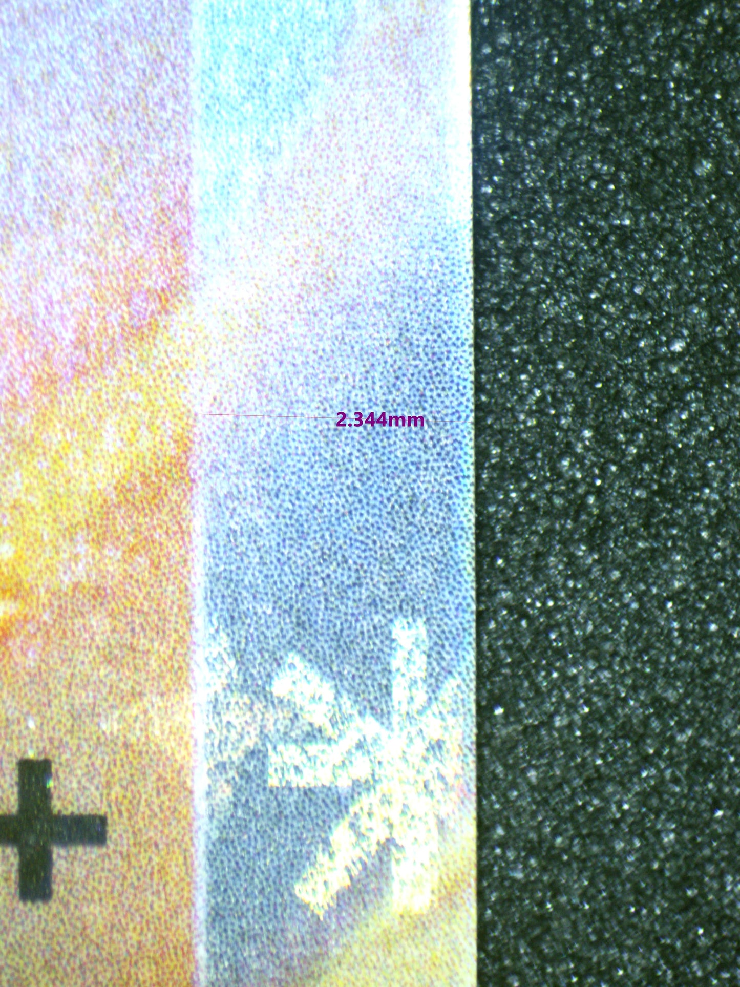 01186 CHARIZARD EX Grading Card