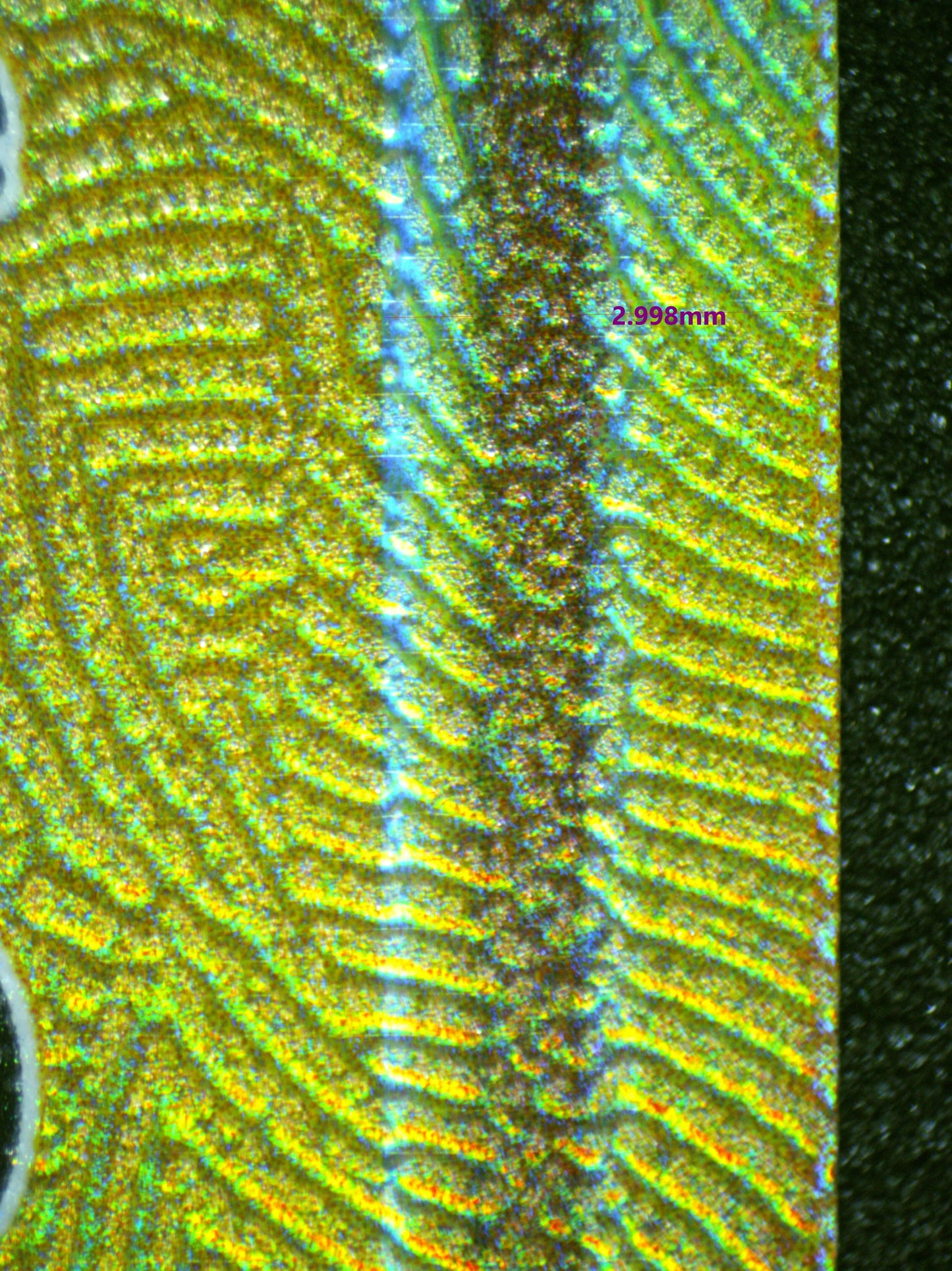 01194 RESHIRAM & CHARIZARD GX Grading Card