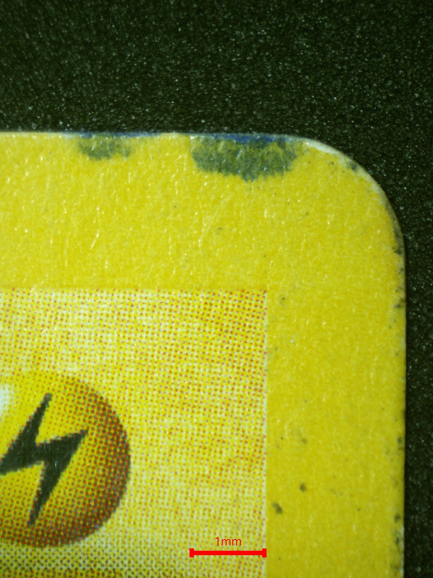 01303 ZAPDOS Grading Card