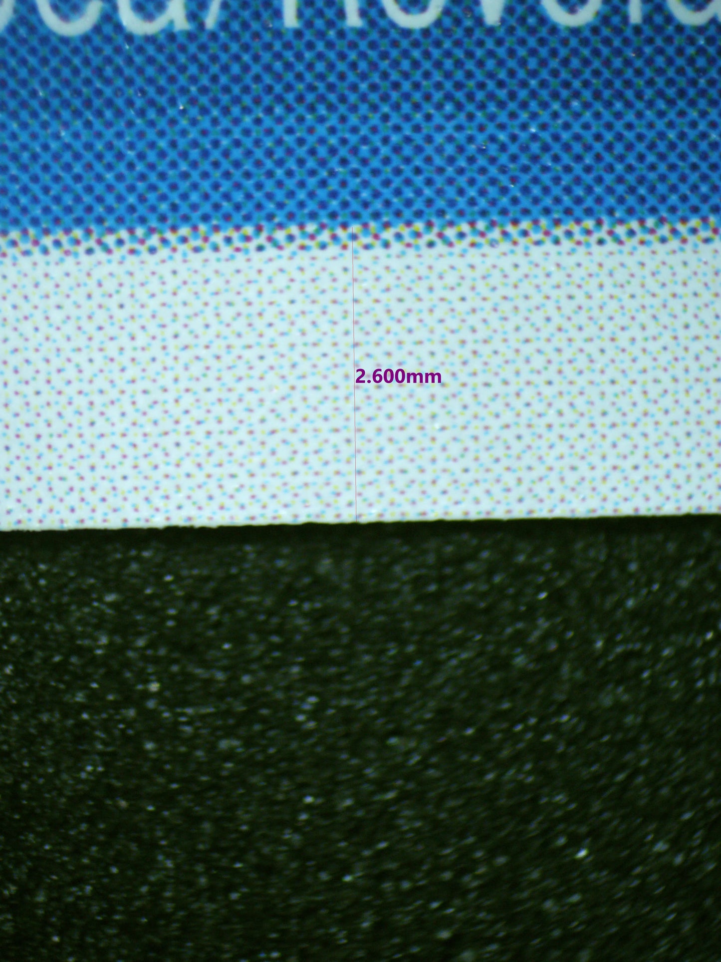 01490 BARTHOLOMEW KUMA Grading Card