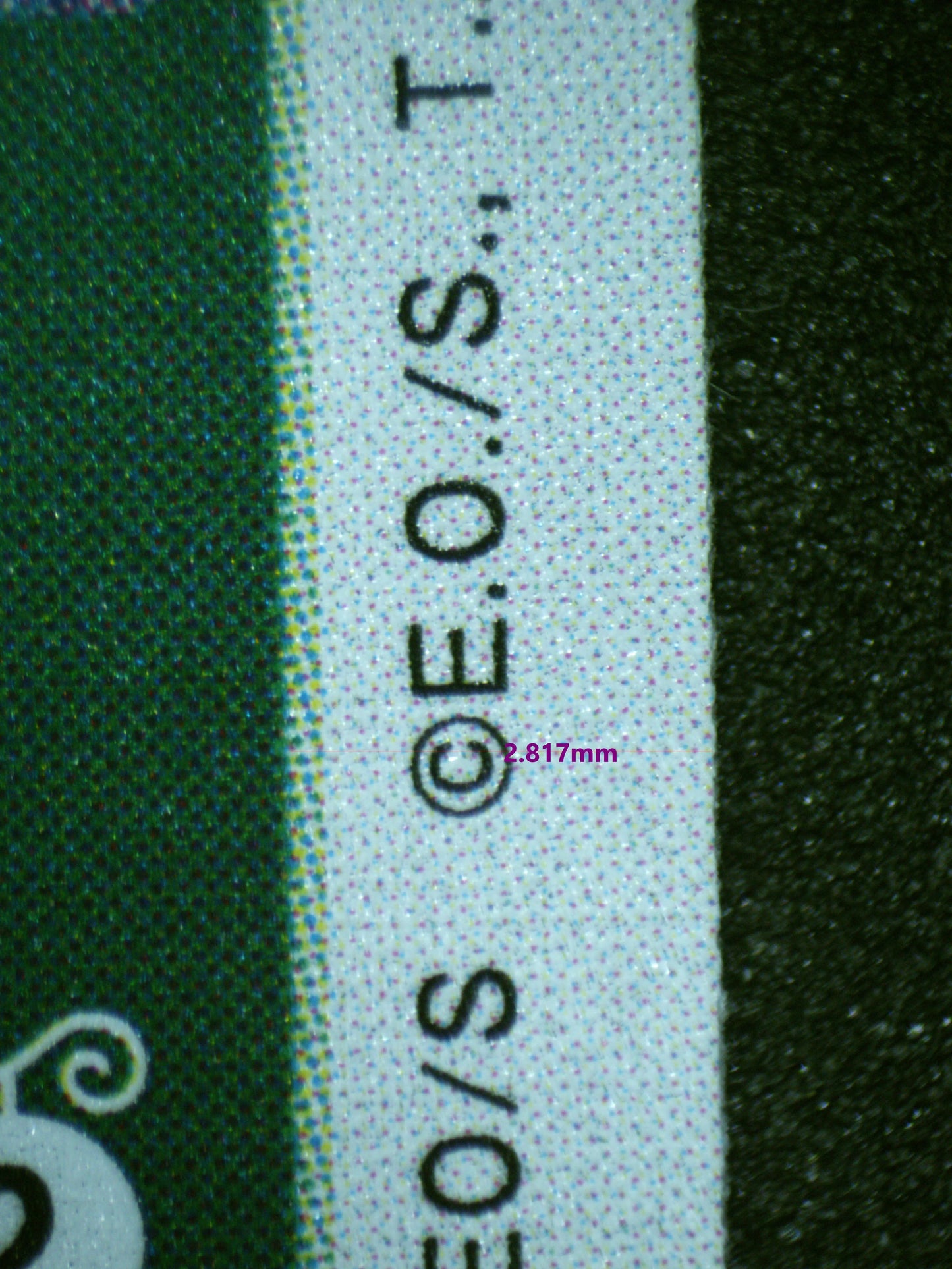 01606 CAMIE Grading Card