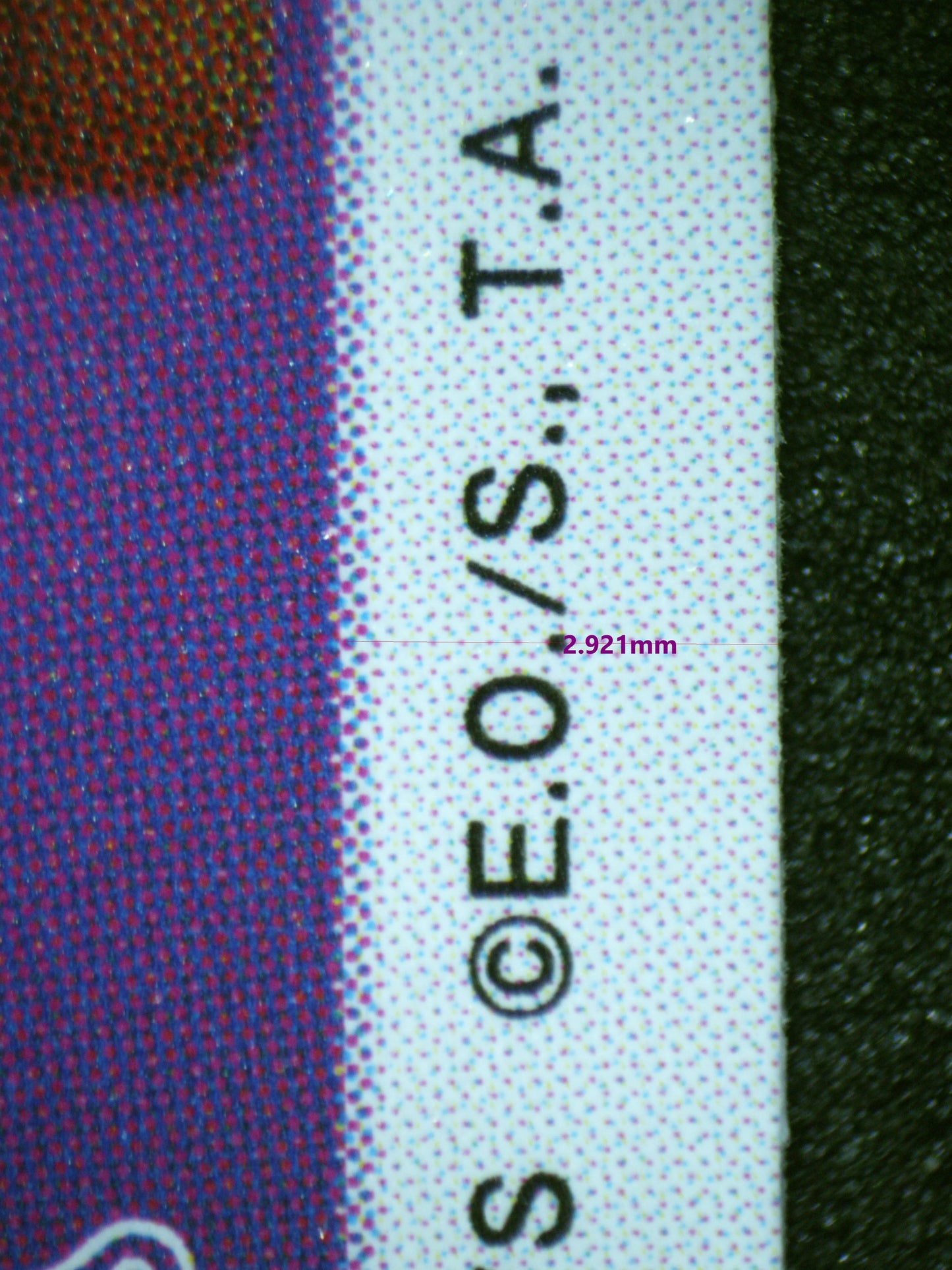 01660 GILD TESORO Grading Card
