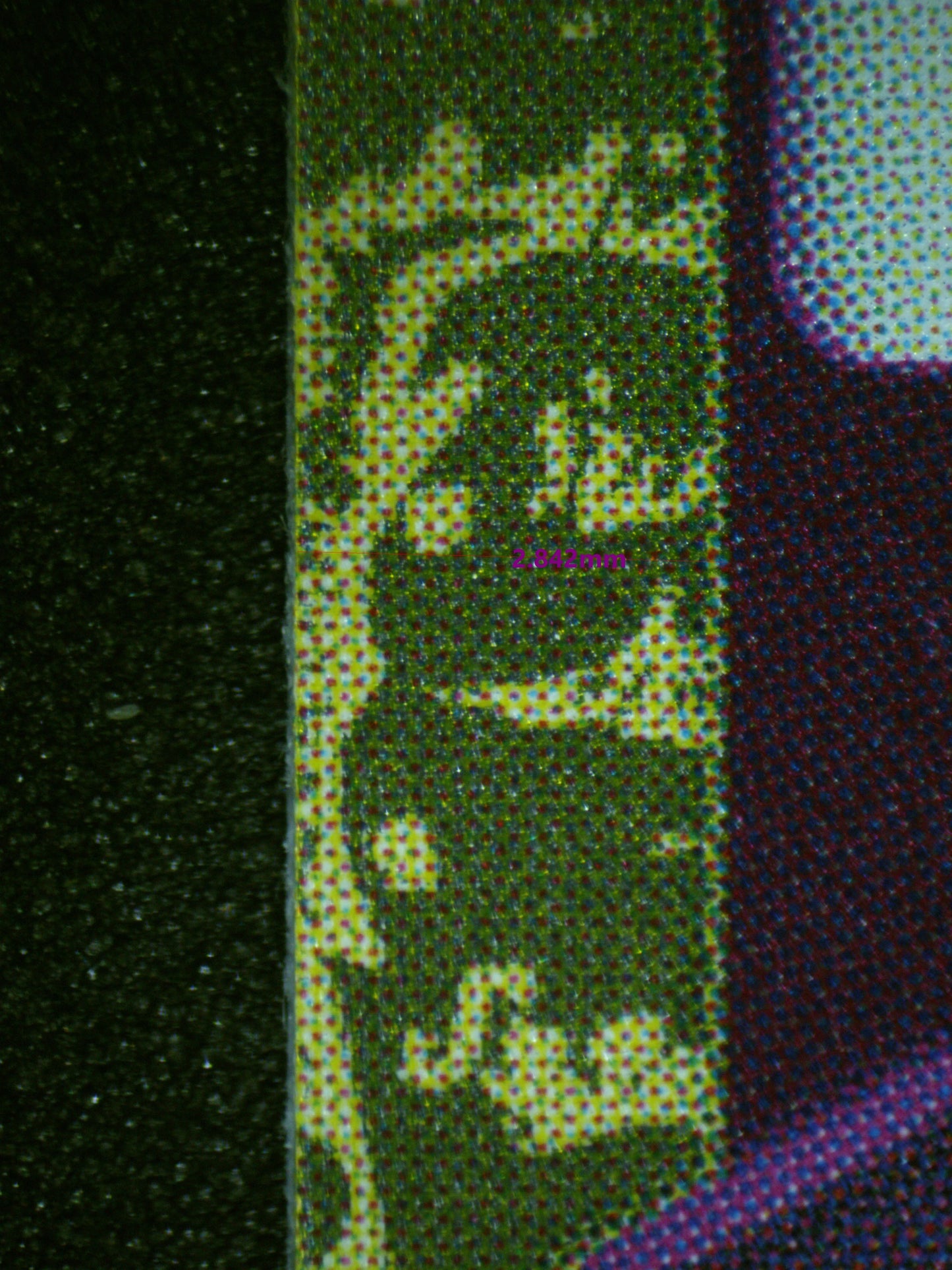 01666 BLACK BUG Grading Card