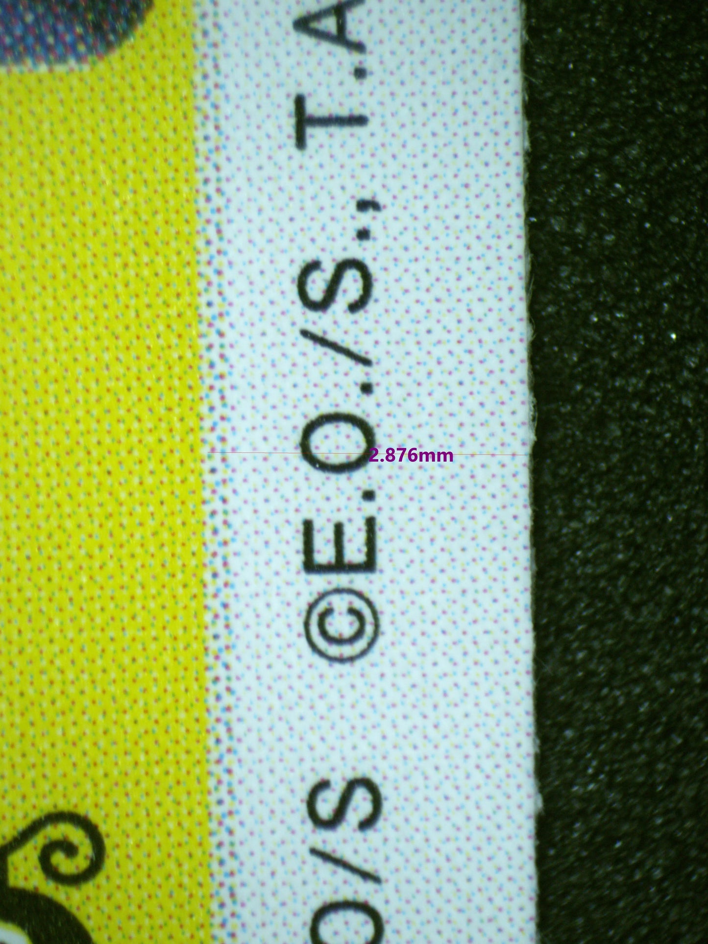 01708 RAIZO Grading Card