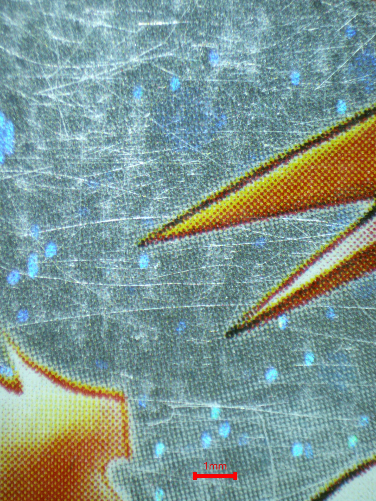 01903 MOLTRES Grading Card