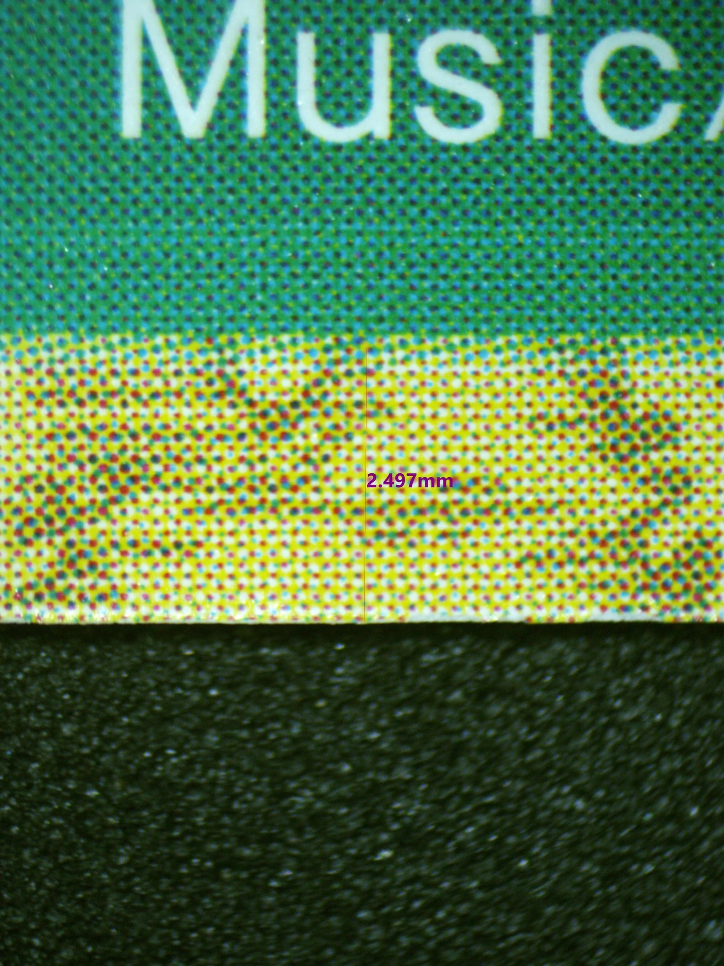 02013 FLEETING LULLABY Grading Card
