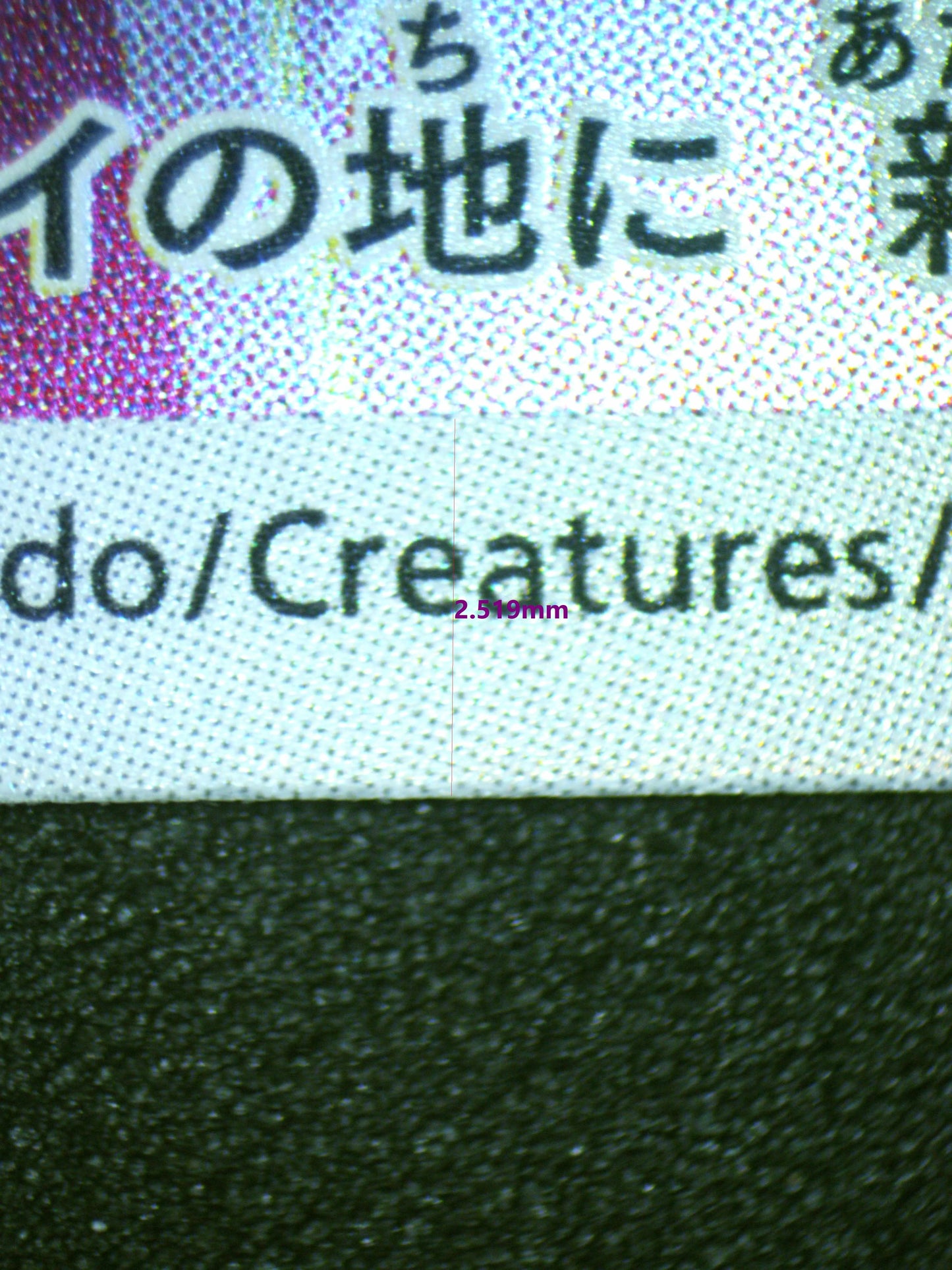 02044 ENAMORUS (JAPANESE) Grading Card