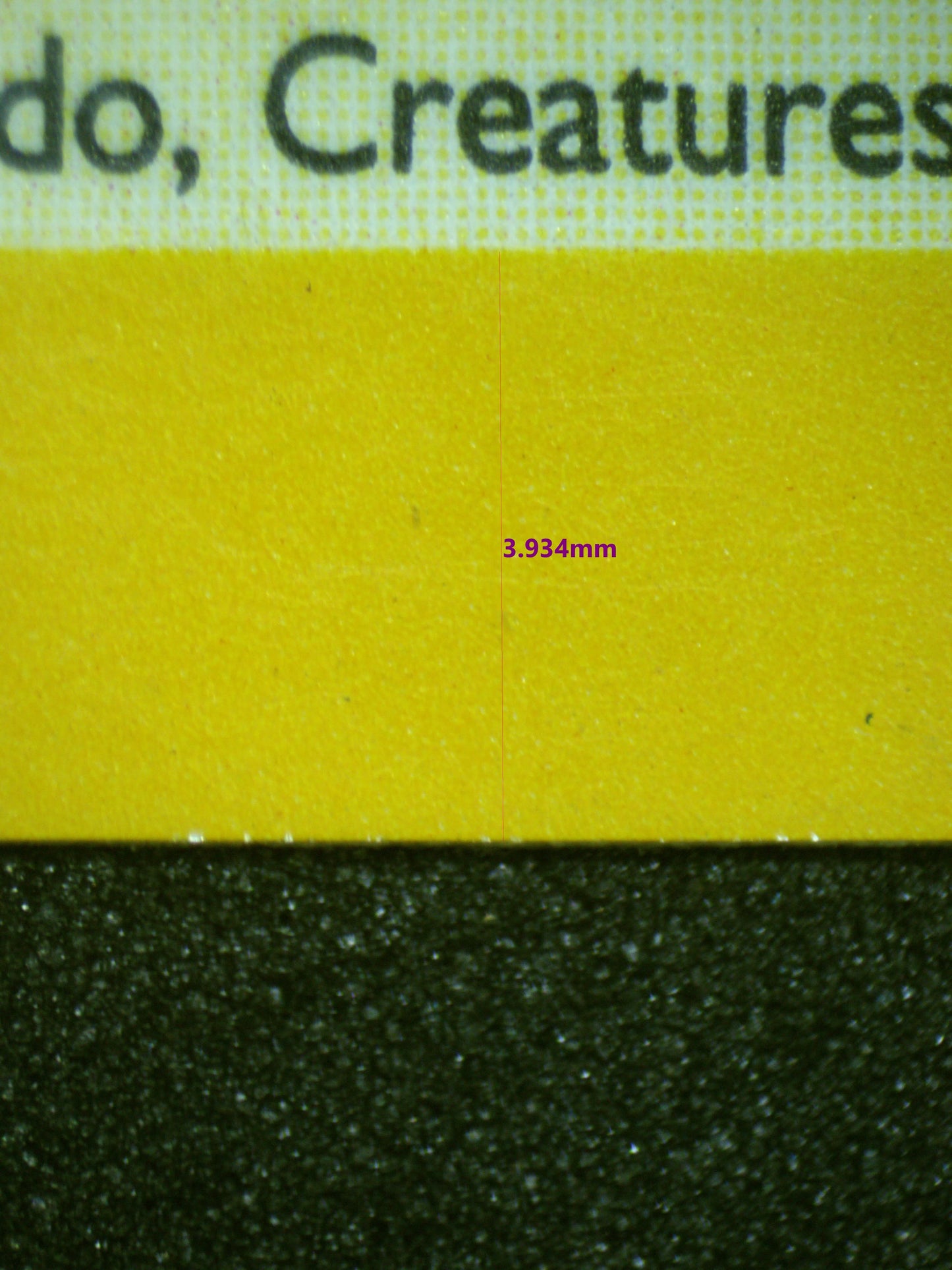 02088 RAICHU Grading Card