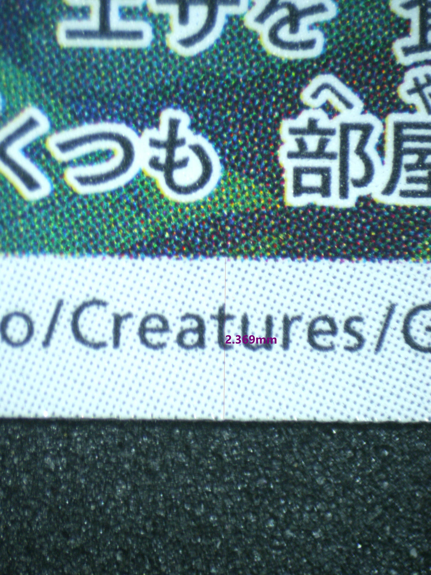 02386 MAUSHOLD (JAPANESE) Grading Card