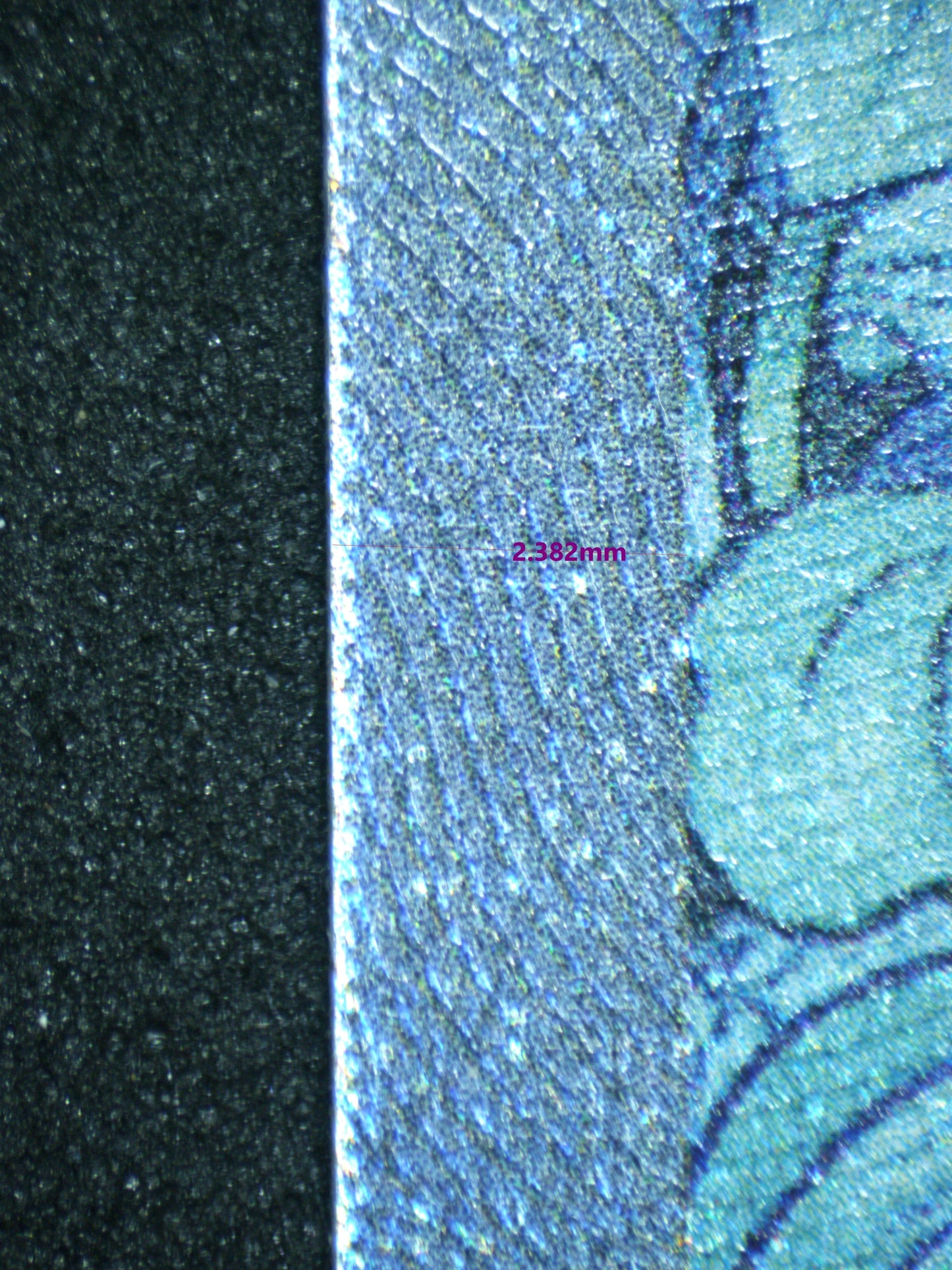 02838 GARDEVOIR EX Grading Card