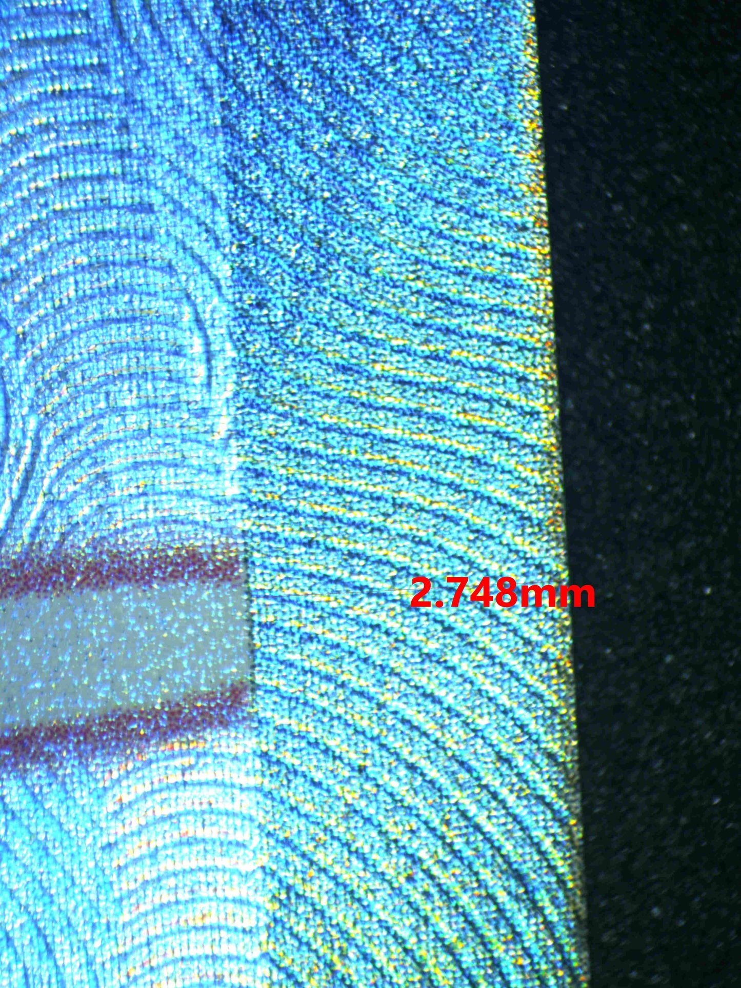 06165 PIDGEOT EX Grading Card