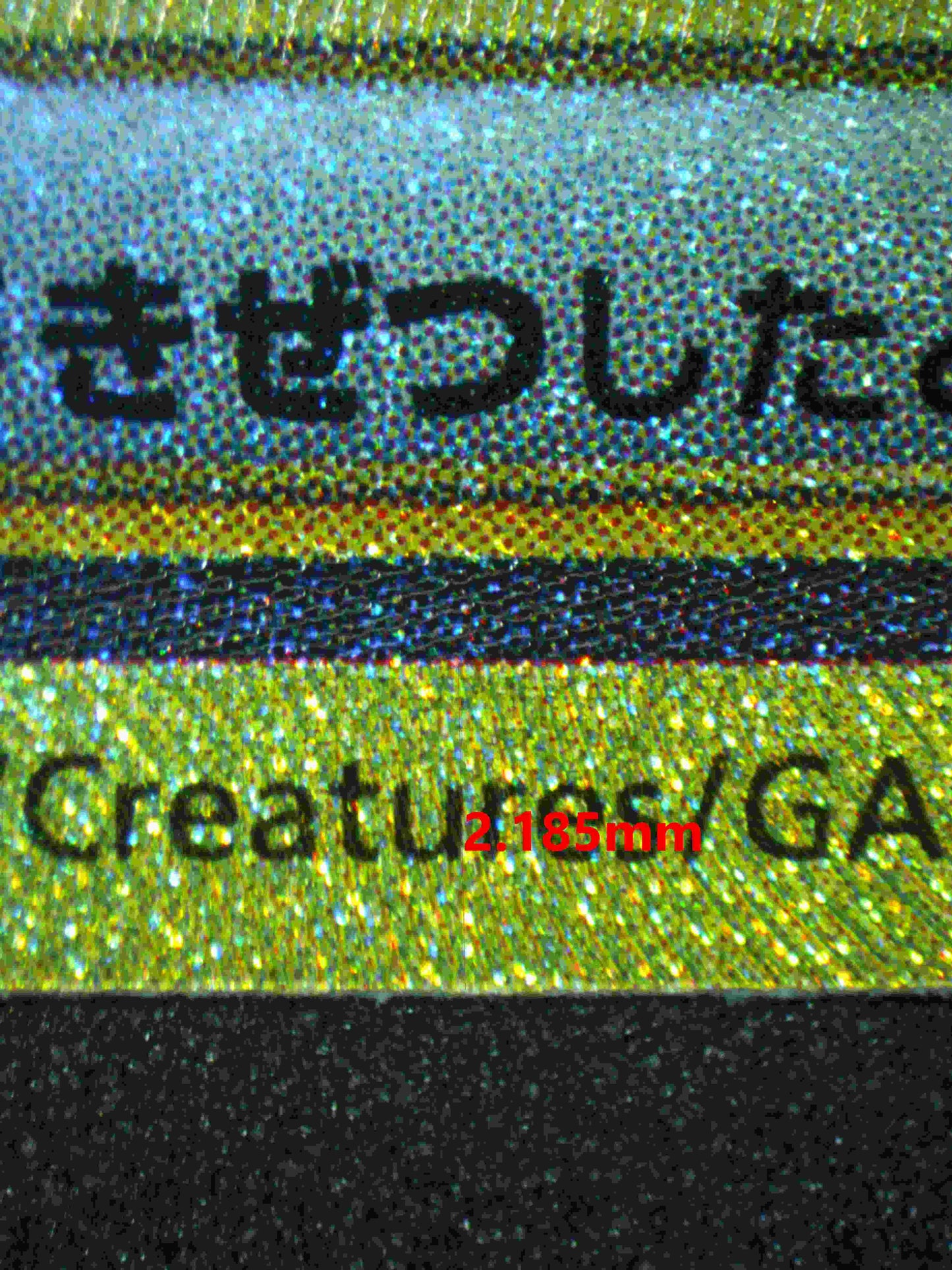 06377 CYNTHIA'S GARCHOMP EX (JAPANESE) Grading Card