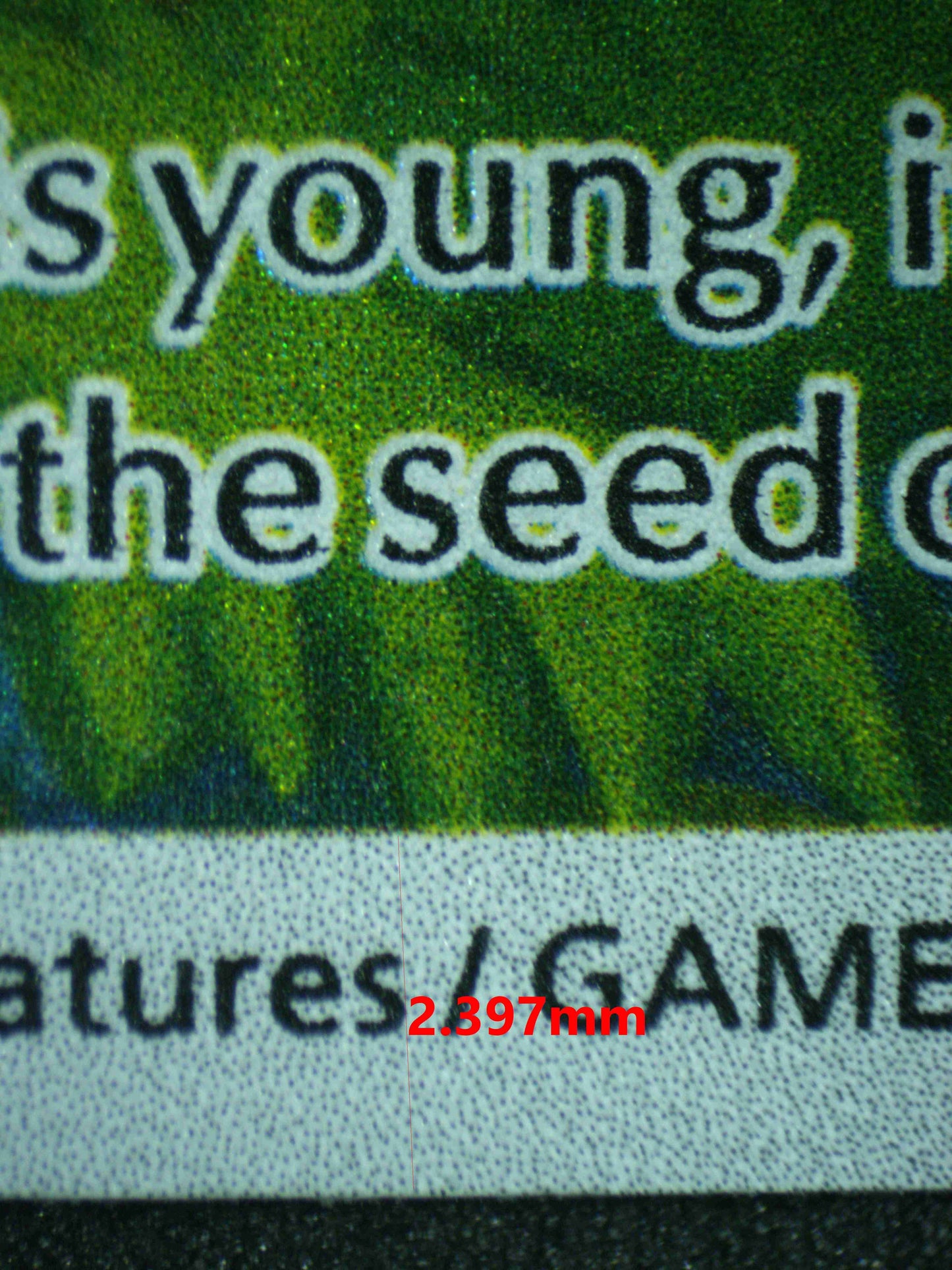 06384 BULBASAUR Grading Card