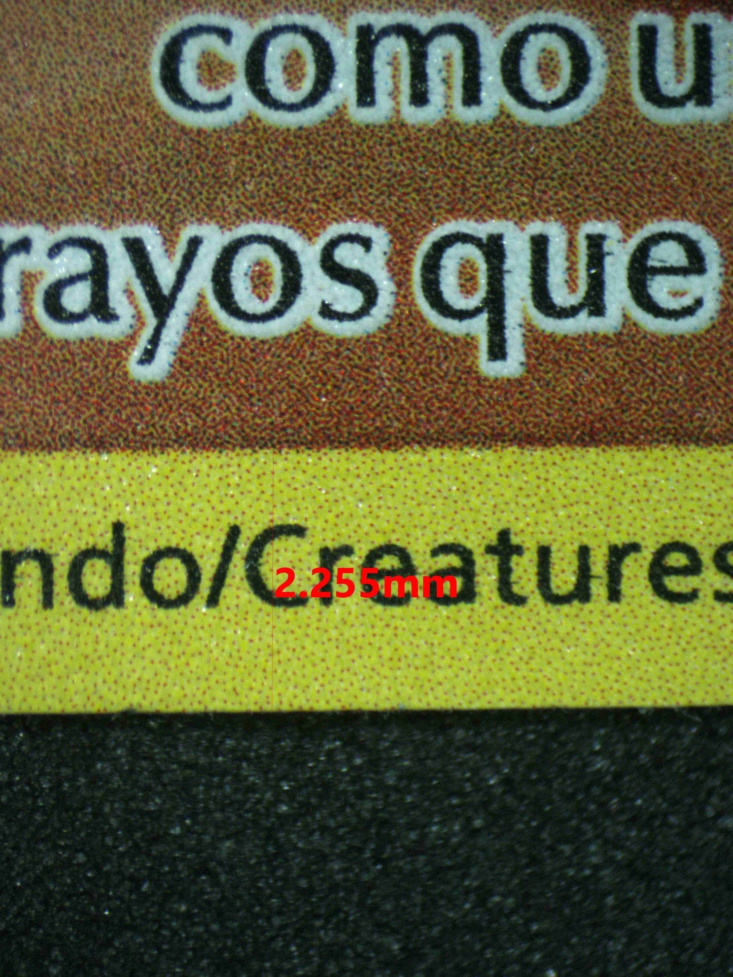 06431 ZEKROM (SPANISH) Grading Card