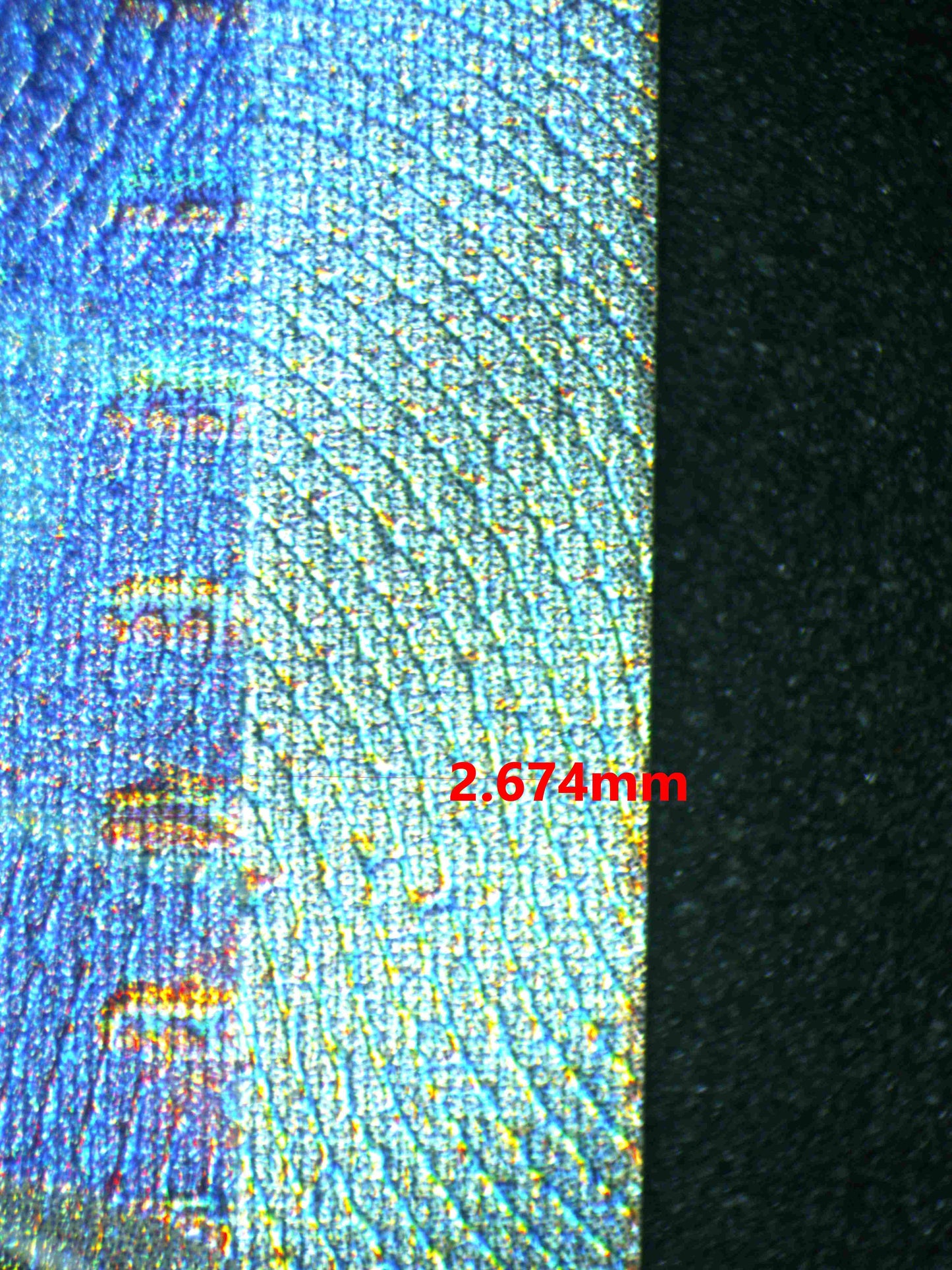 06439 LISIA'S APPEAL Grading Card