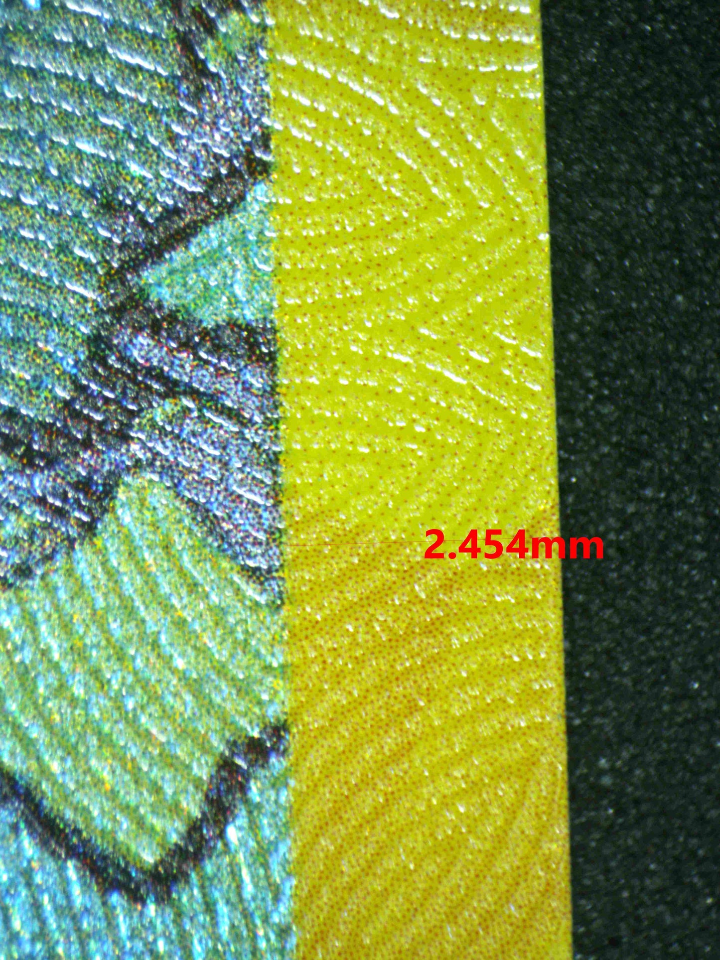 06465 LEAFEON EX Grading Card