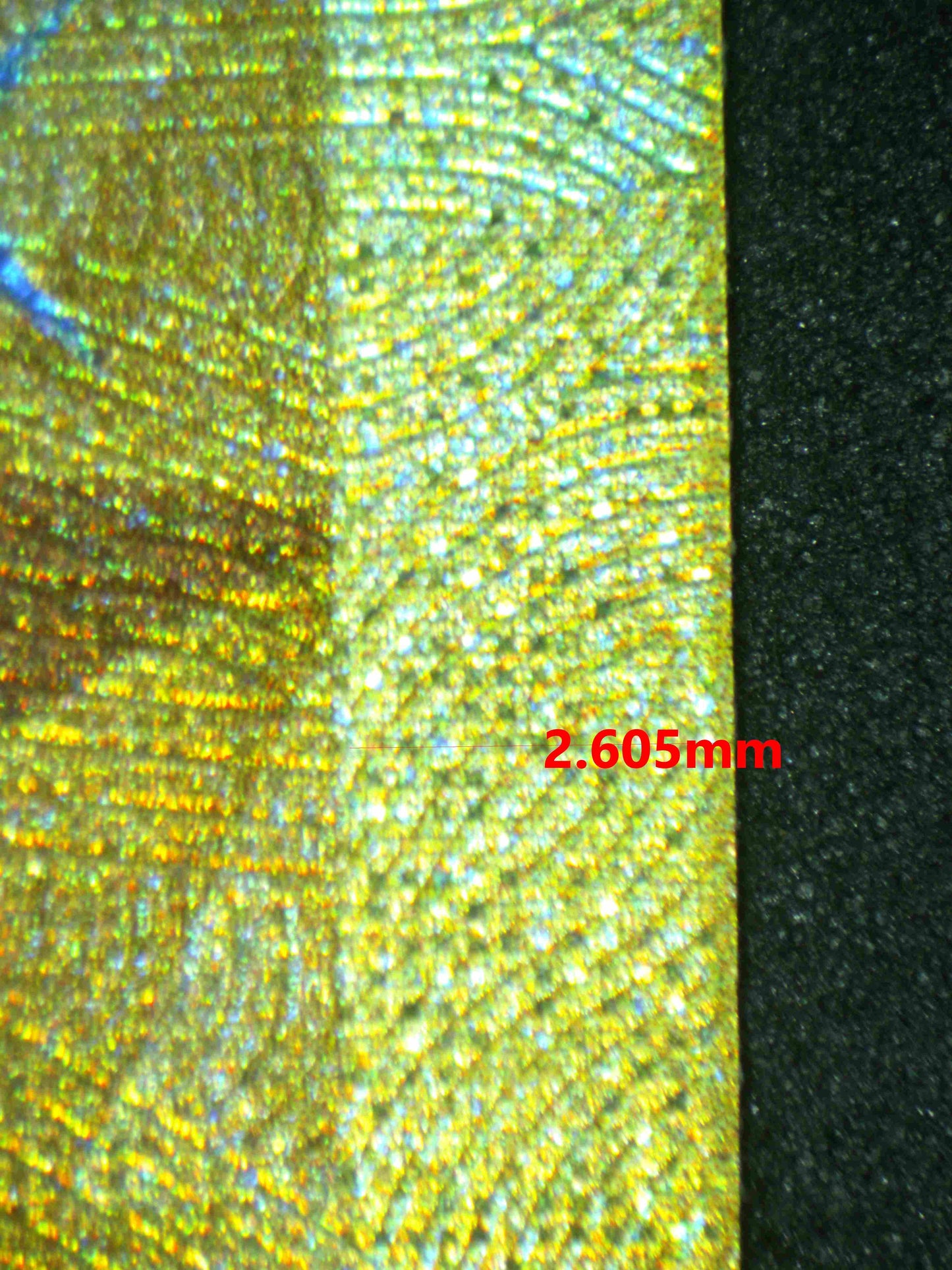 06546 CHARIZARD EX Grading Card