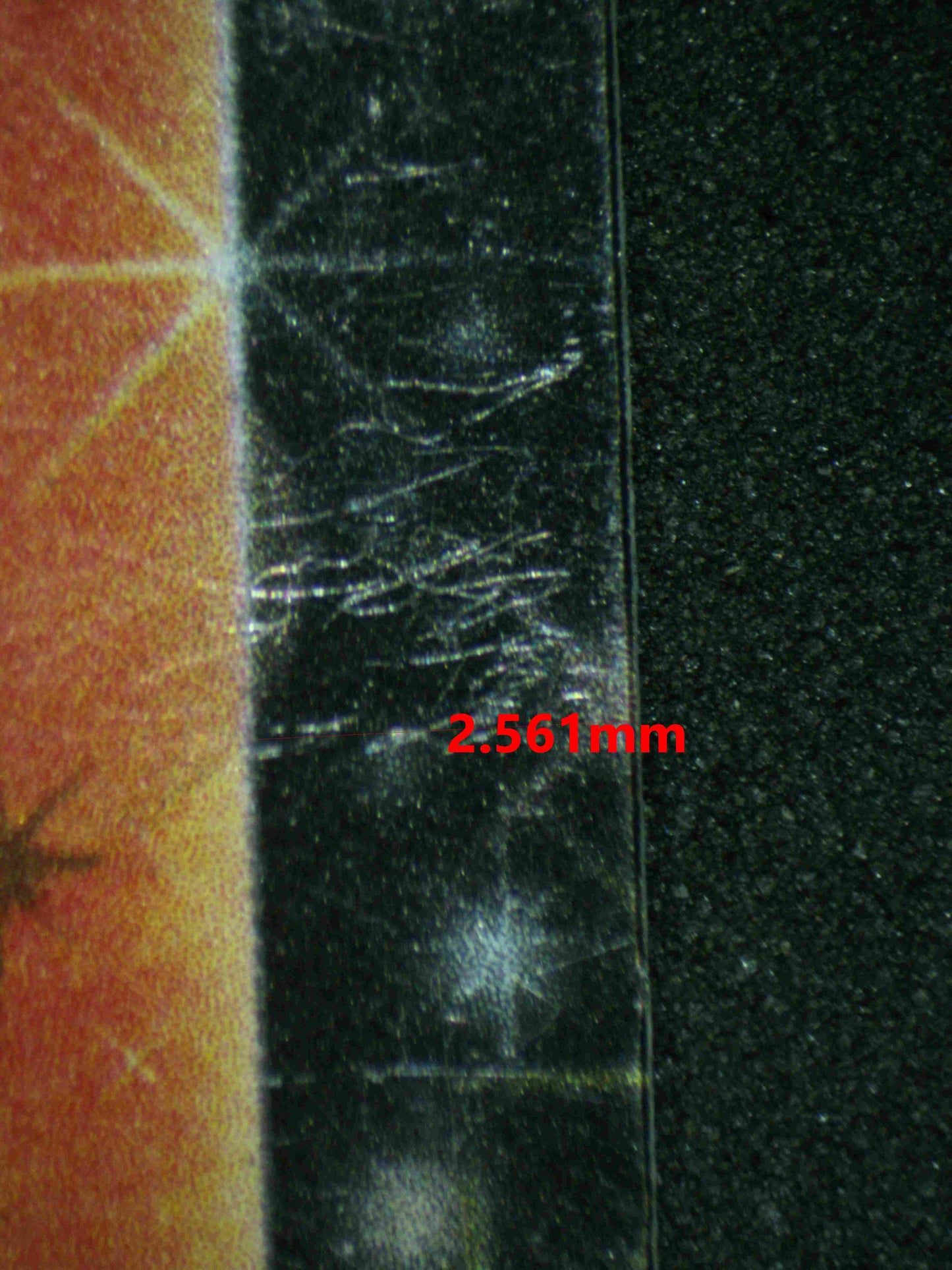 06556 FLAREON EX Grading Card