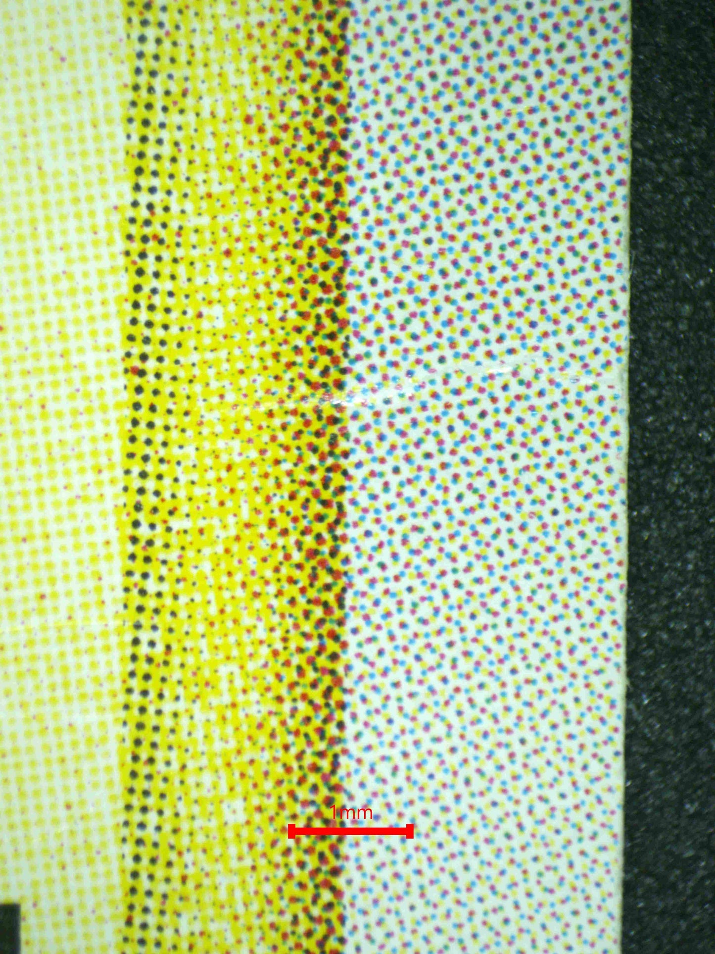 06566 POKÉPARK'S PIKACHU (JAPANESE) Grading Card