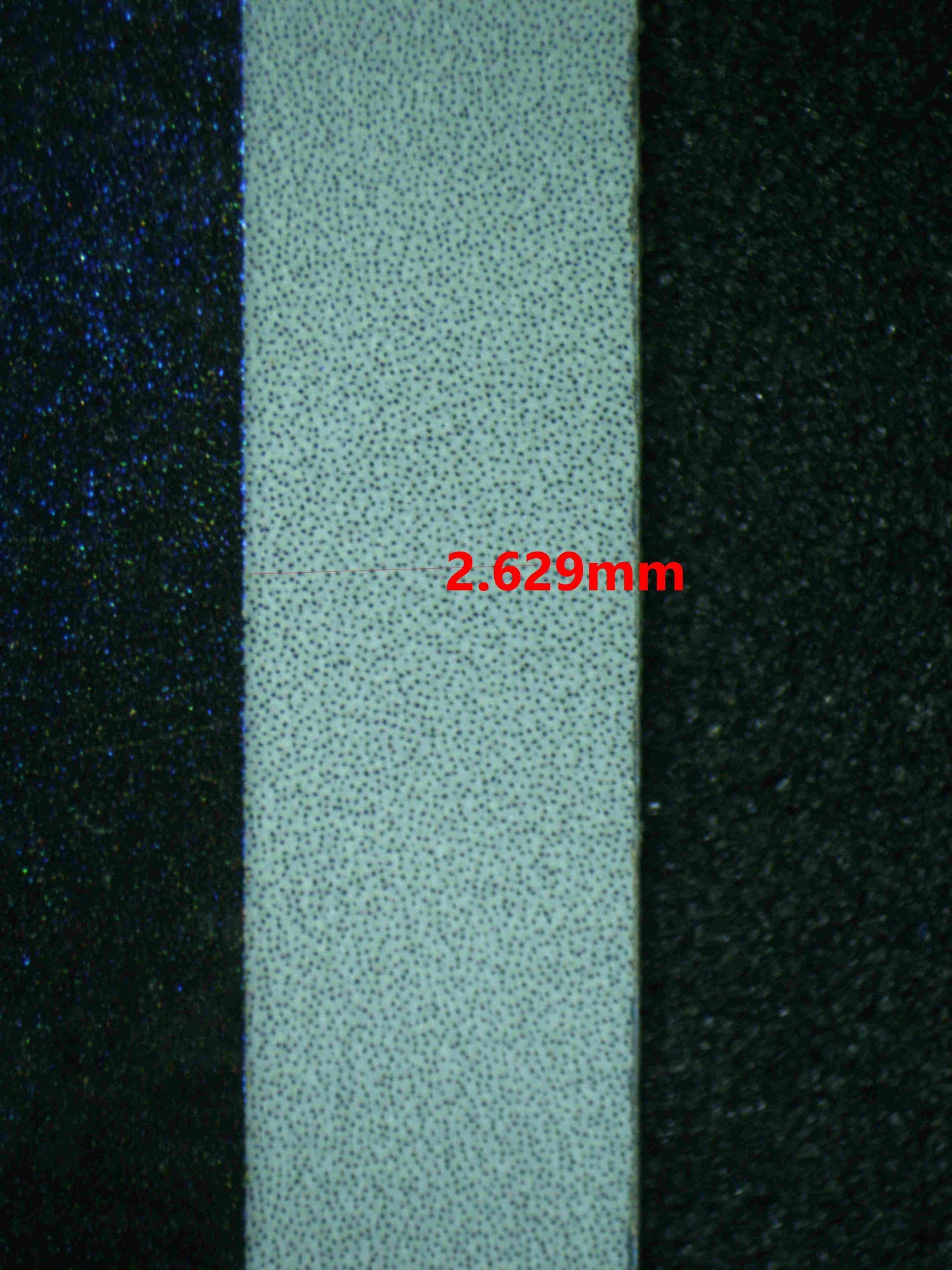 06617 CHARMELEON (SPANISH) Grading Card