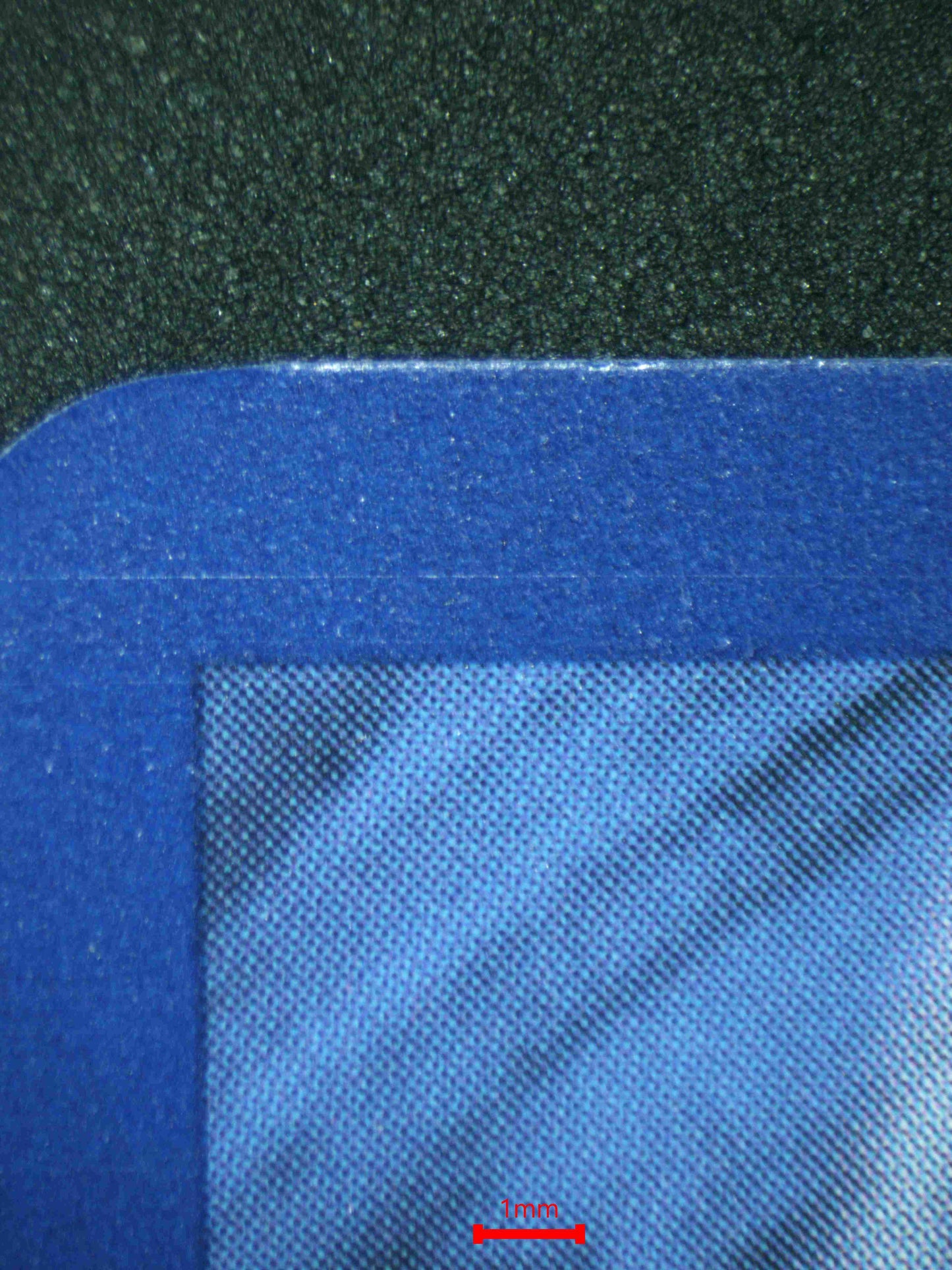 06642 JASMINE'S GAZE Grading Card