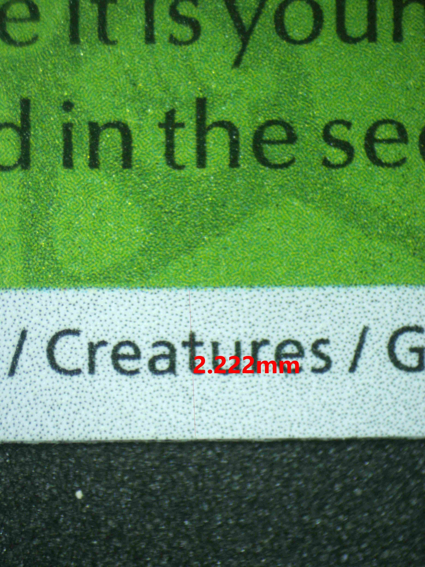 06667 BULBASAUR Grading Card