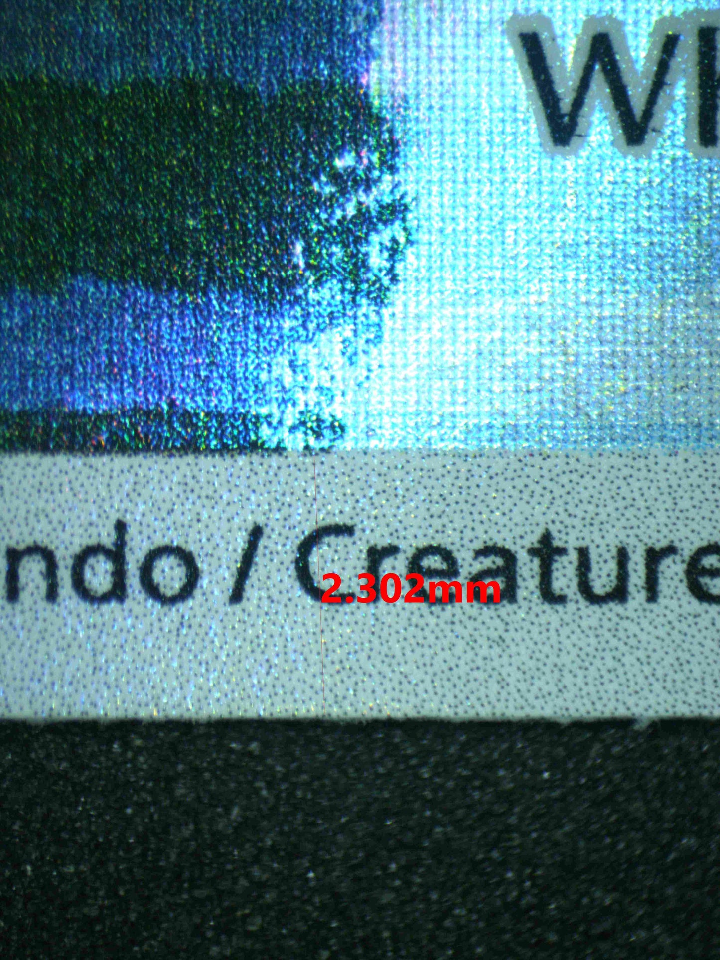 06685 PSYDUCK Grading Card