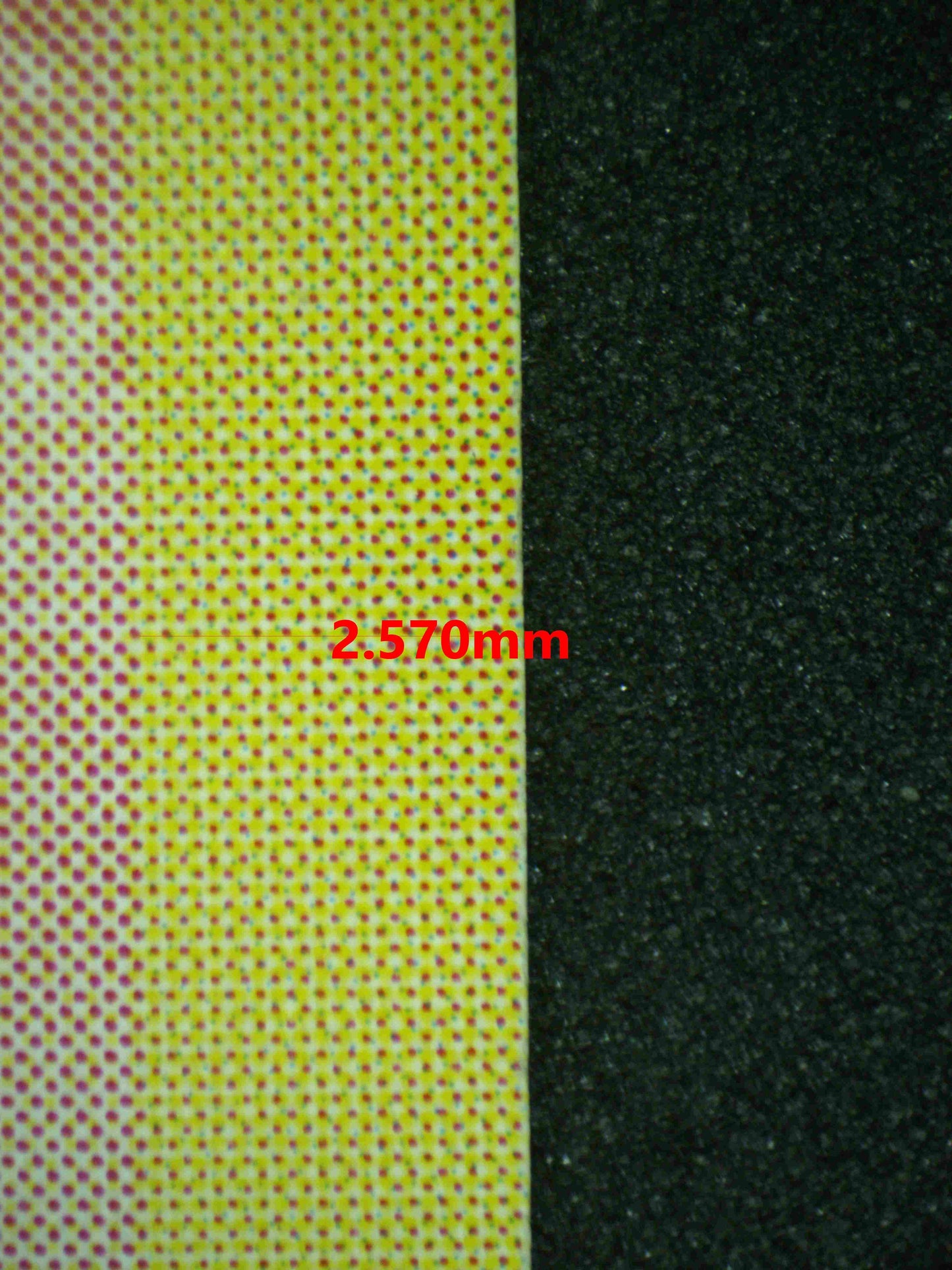 06697 MOLTRES (JAPANESE) Grading Card