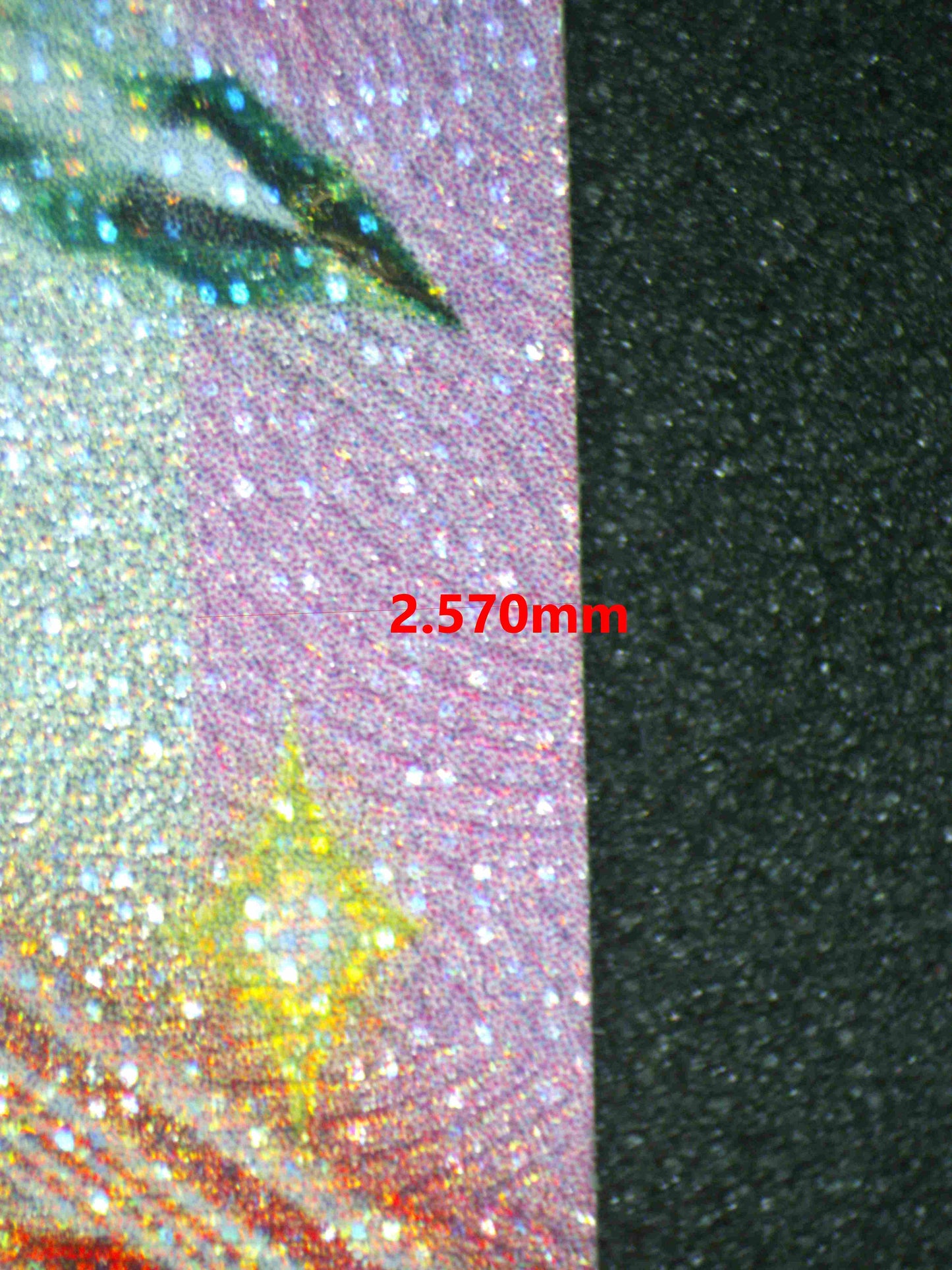 06732 SYLVEON EX (SPANISH) Grading Card