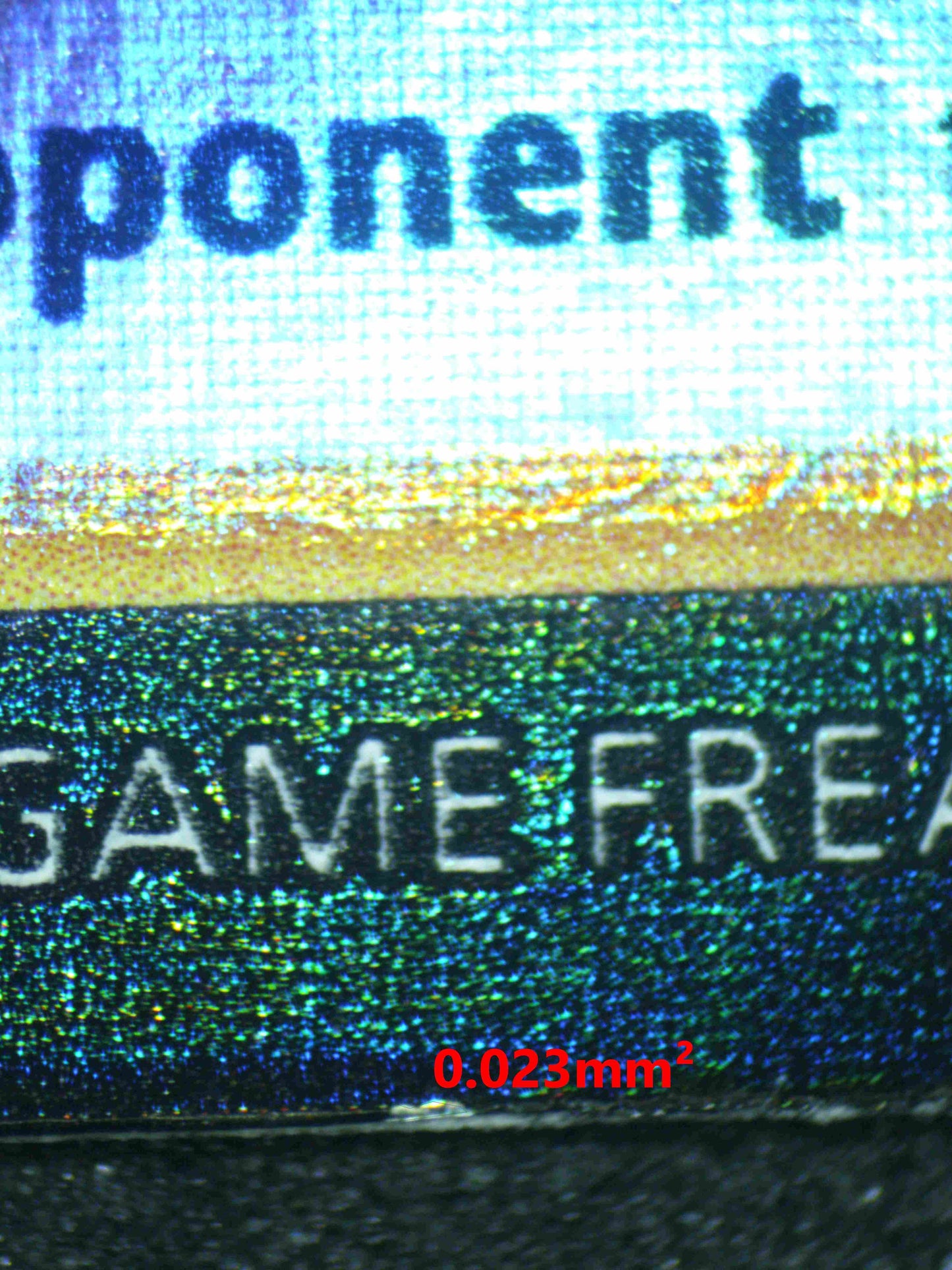 06733 PIKACHU VMAX Grading Card