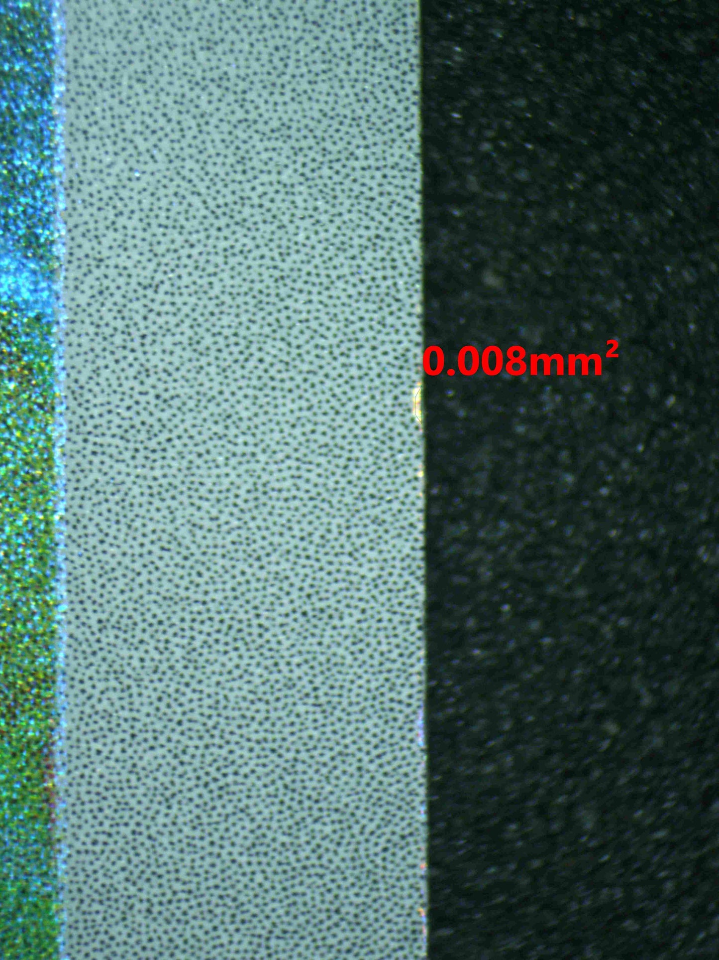 06845 IVYSAUR (SPANISH) Grading Card