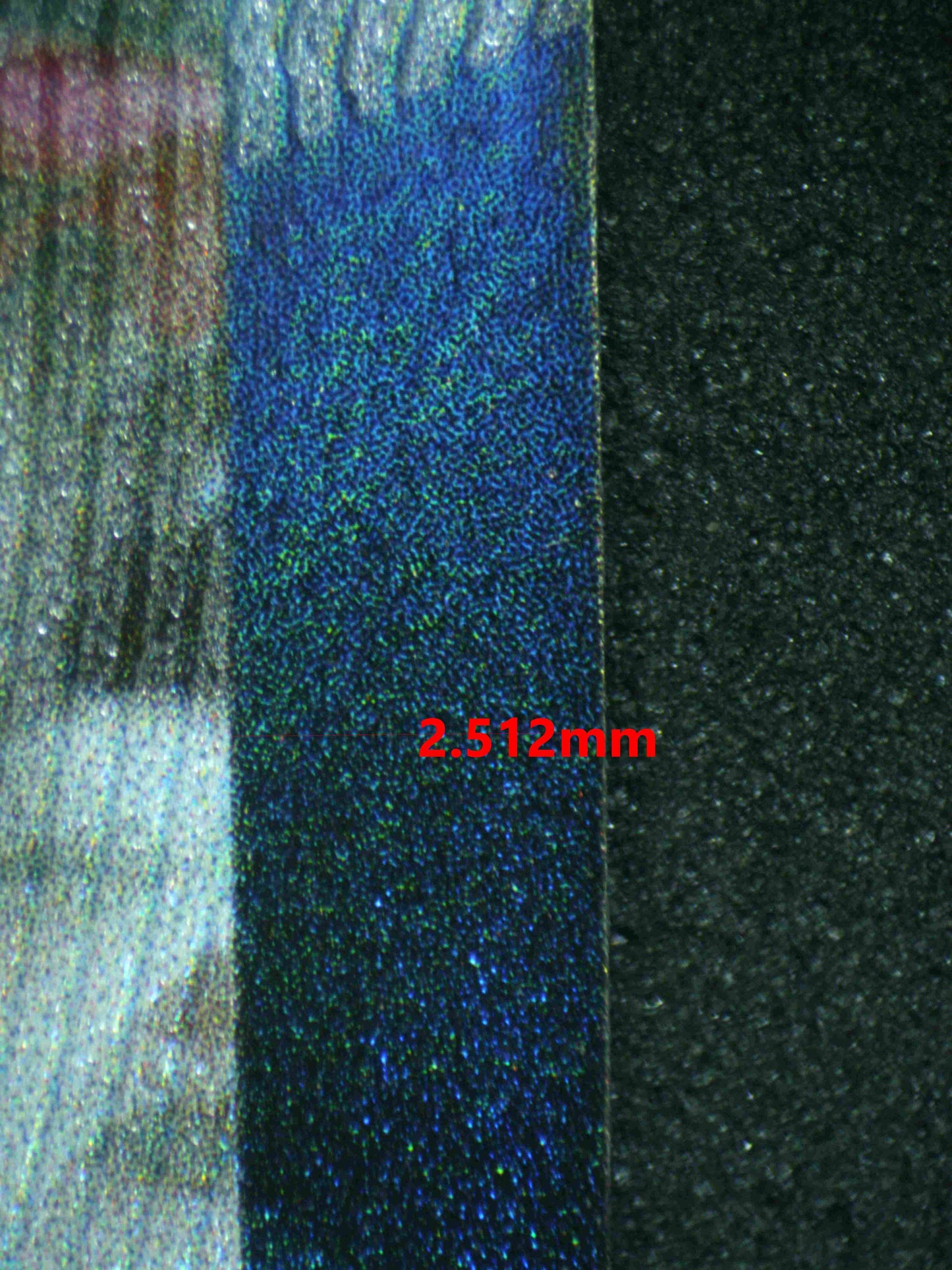 05007 UMBREON VMAX Grading Card