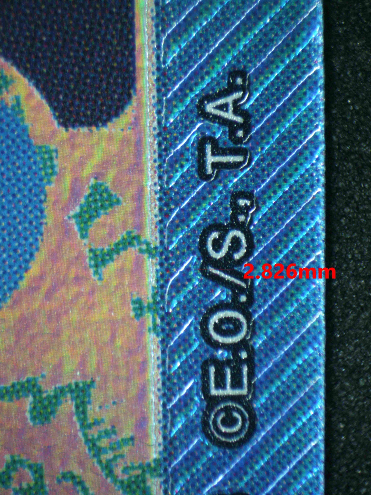 05021 DONQUIXOTE ROSINANTE Grading Card