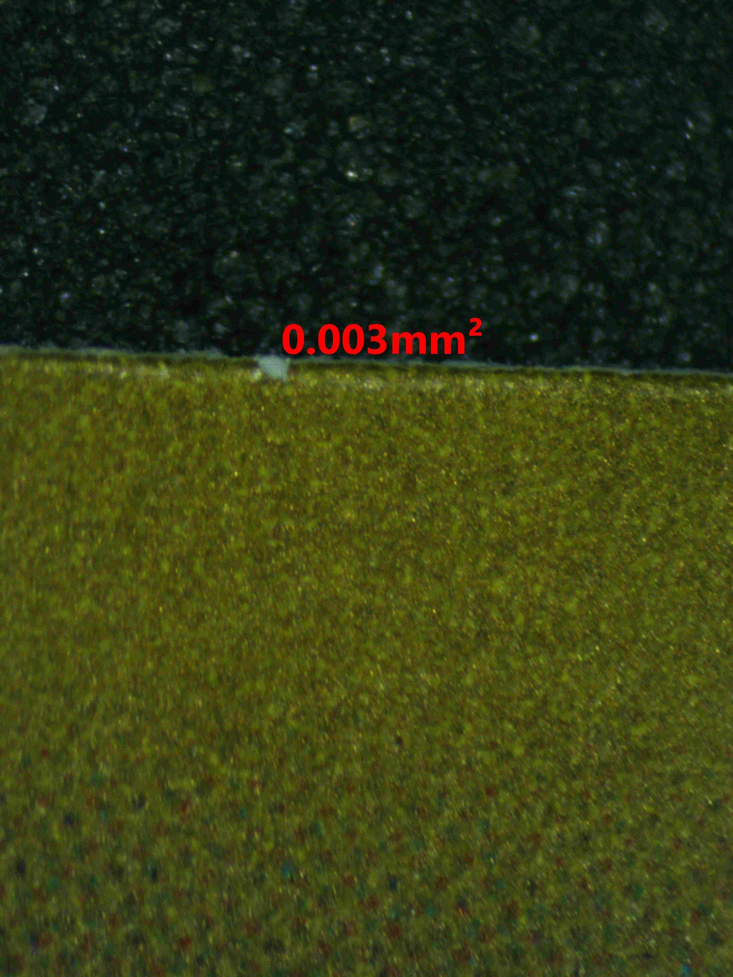 06976 MISTY'S PSYDUCK (JAPANESE) Grading Card