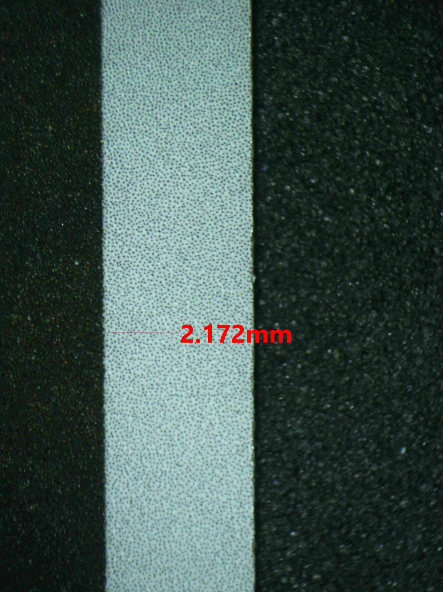 07027 CHARMELEON (SPANISH) Grading Card